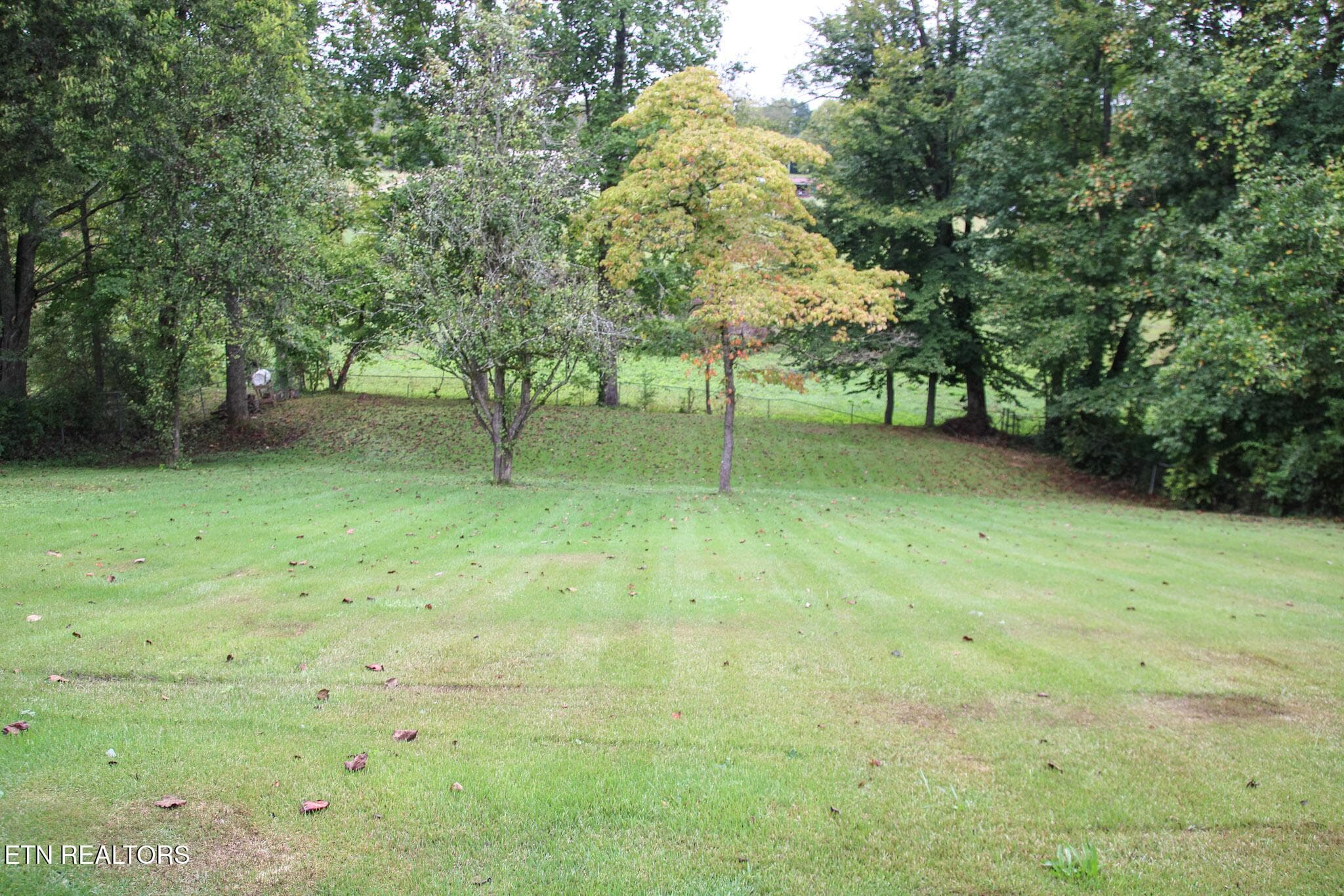 IMG_2773 - 314 S Apache Rd, Clinton, TN 37716, Clinton