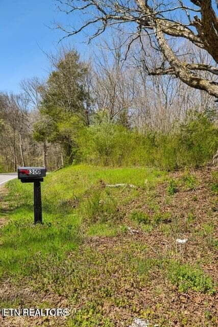 20250401145719507762000000-o - 1300 Old Sugar Limb Rd, Loudon, TN 37774, Loudon