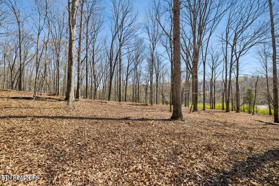 20250401145726077586000000-o - 1300 Old Sugar Limb Rd, Loudon, TN 37774, Loudon