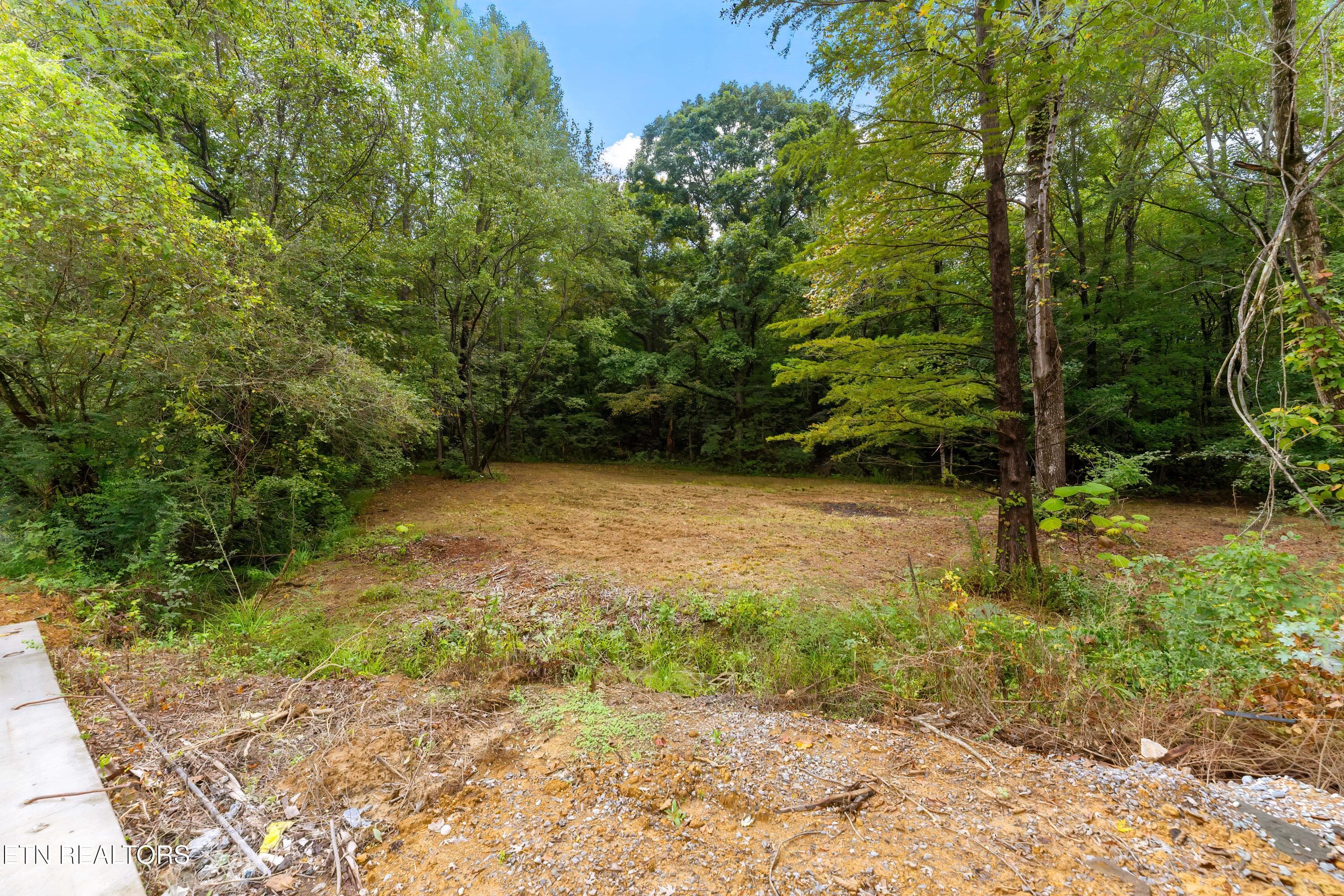 _DSC1990-Edit - 5501 Ball Rd, Knoxville, TN 37931, Knoxville