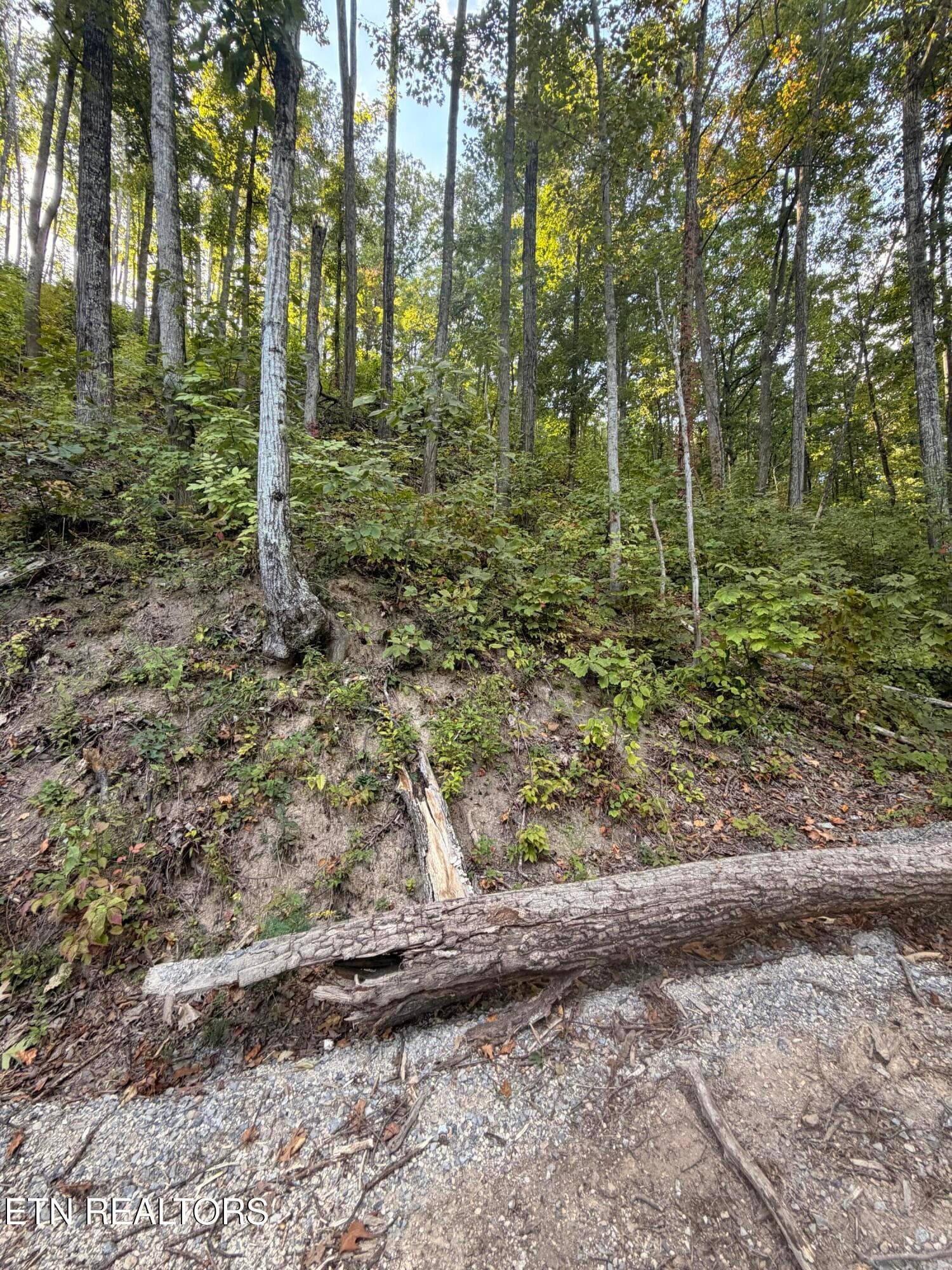 Whipoorwill Hill Way 28, Sevierville, TN 37862