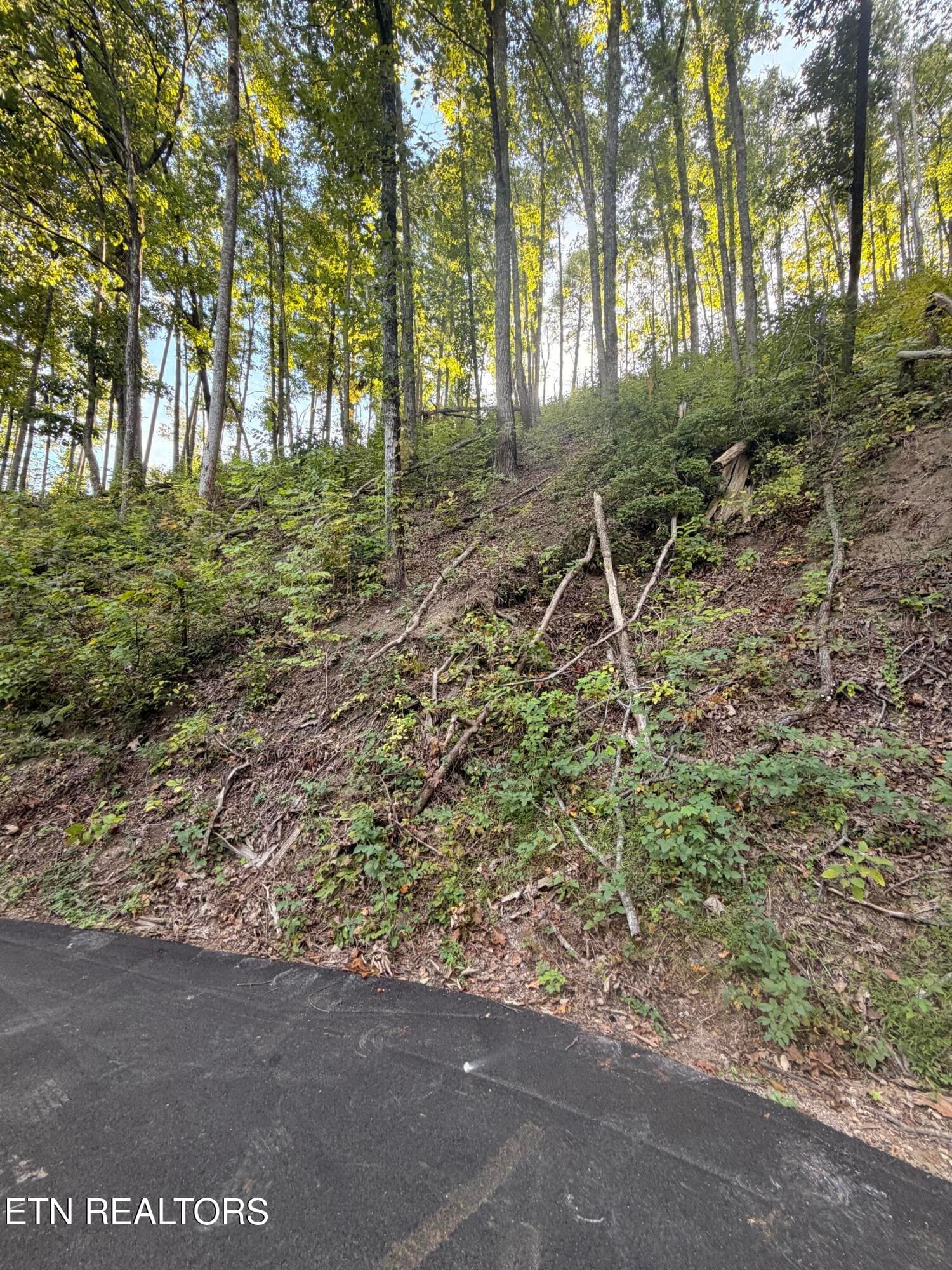 IMG_5557 - Whipoorwill Hill Way 28, Sevierville, TN 37862, Sevierville