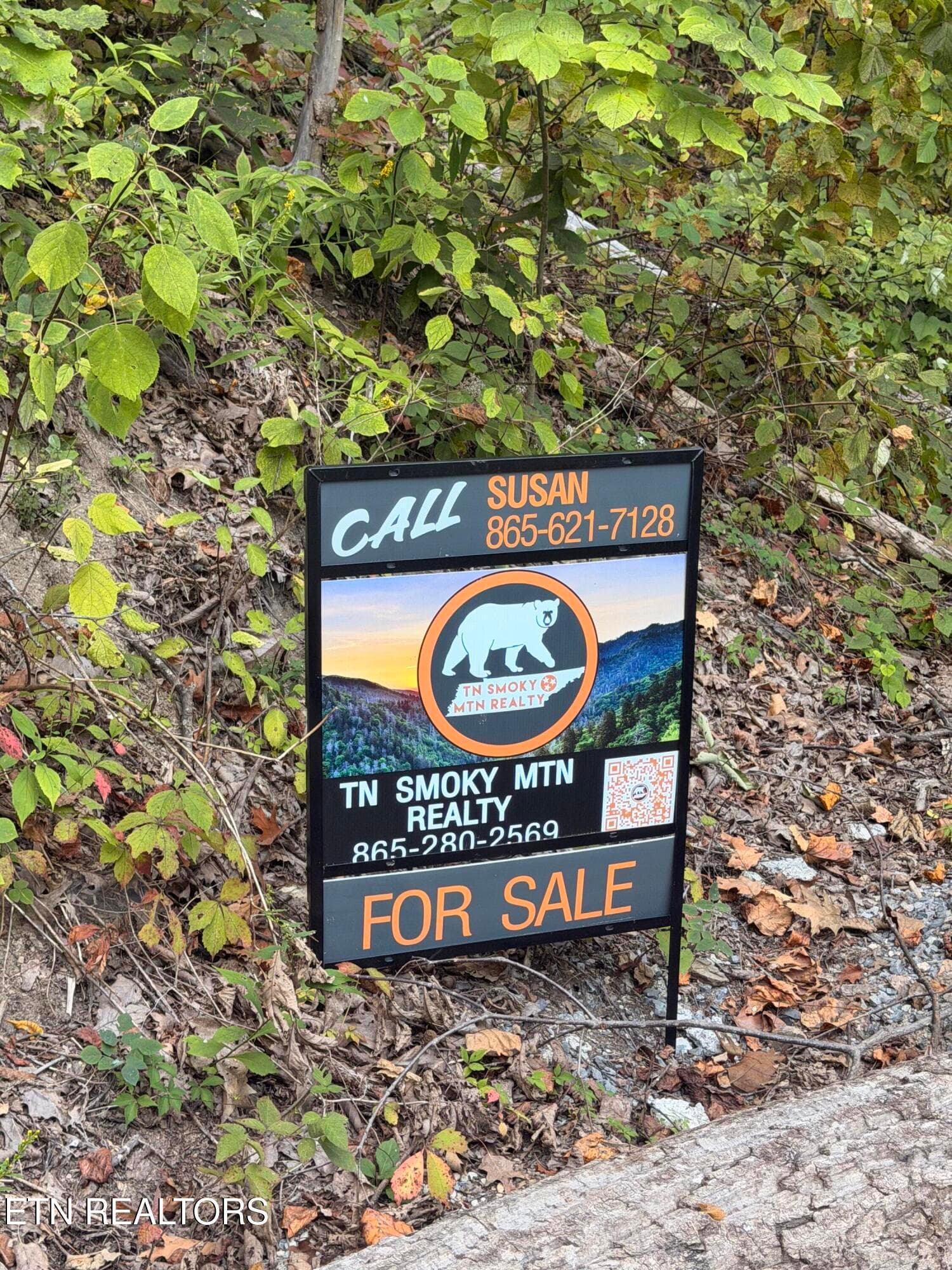 IMG_5562 - Whipoorwill Hill Way 28, Sevierville, TN 37862, Sevierville