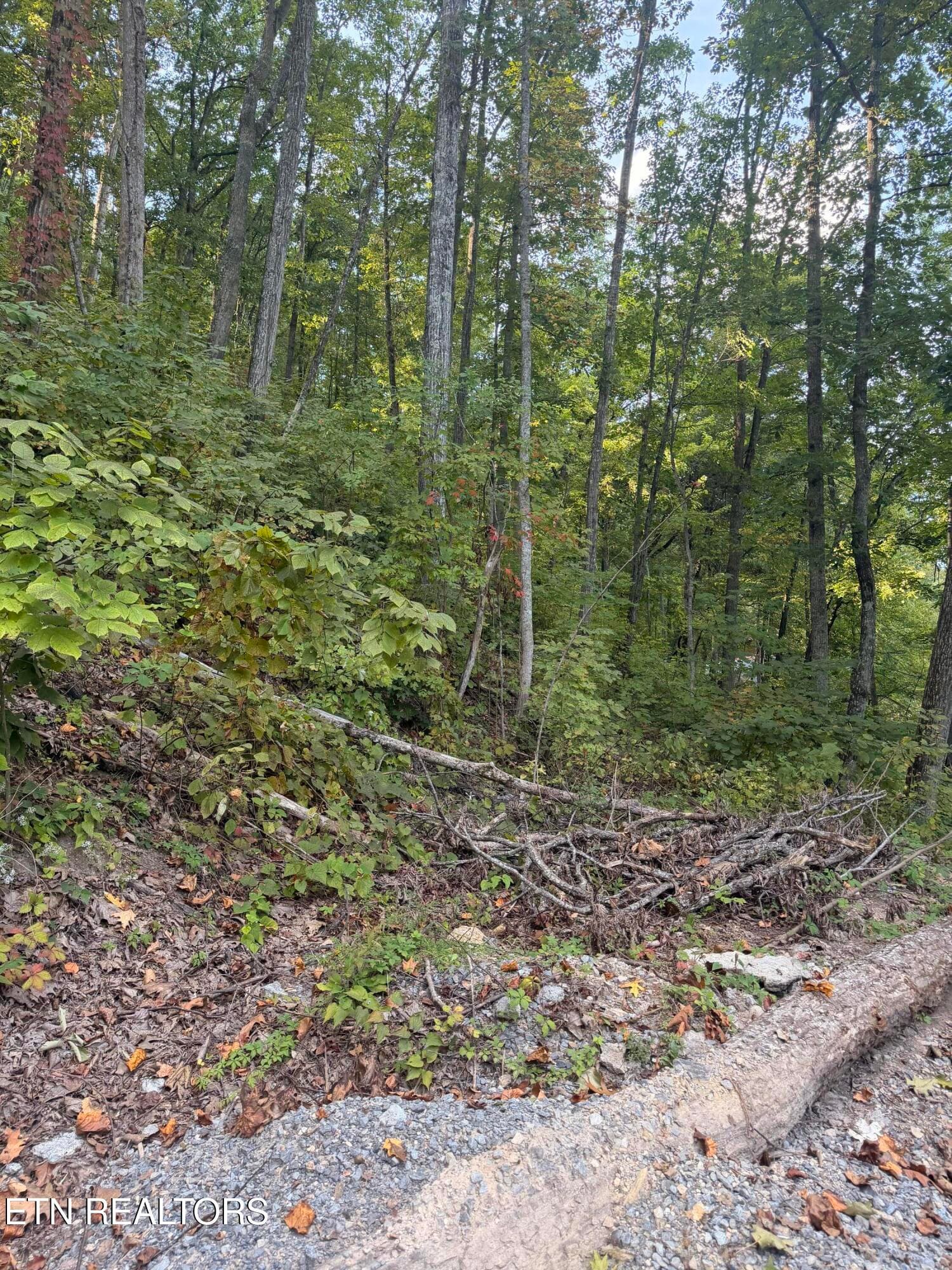 IMG_5561 - Whipoorwill Hill Way 28, Sevierville, TN 37862, Sevierville