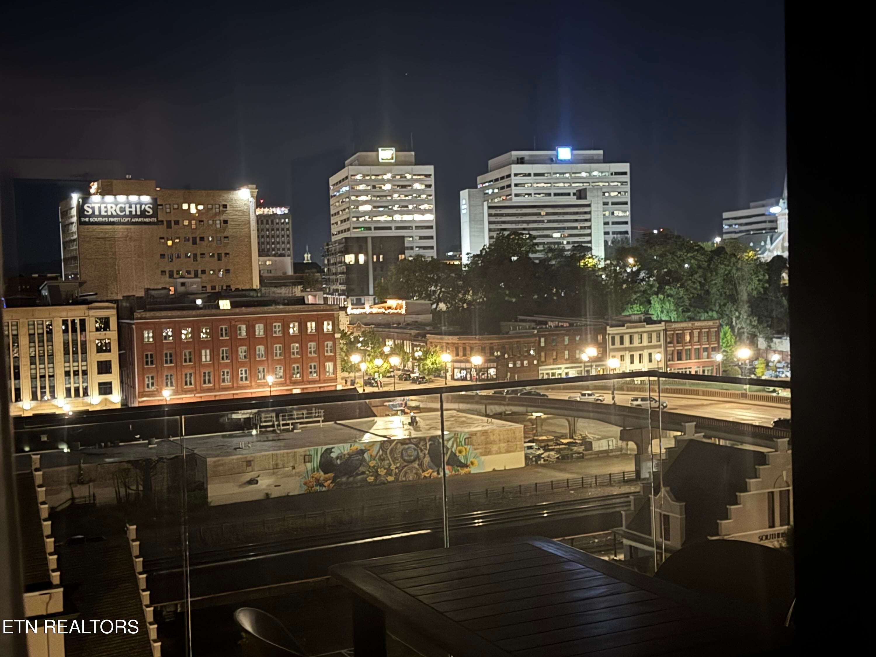 Regas Night View - 333 W Depot Ave 602, Knoxville, TN 37917, Knoxville