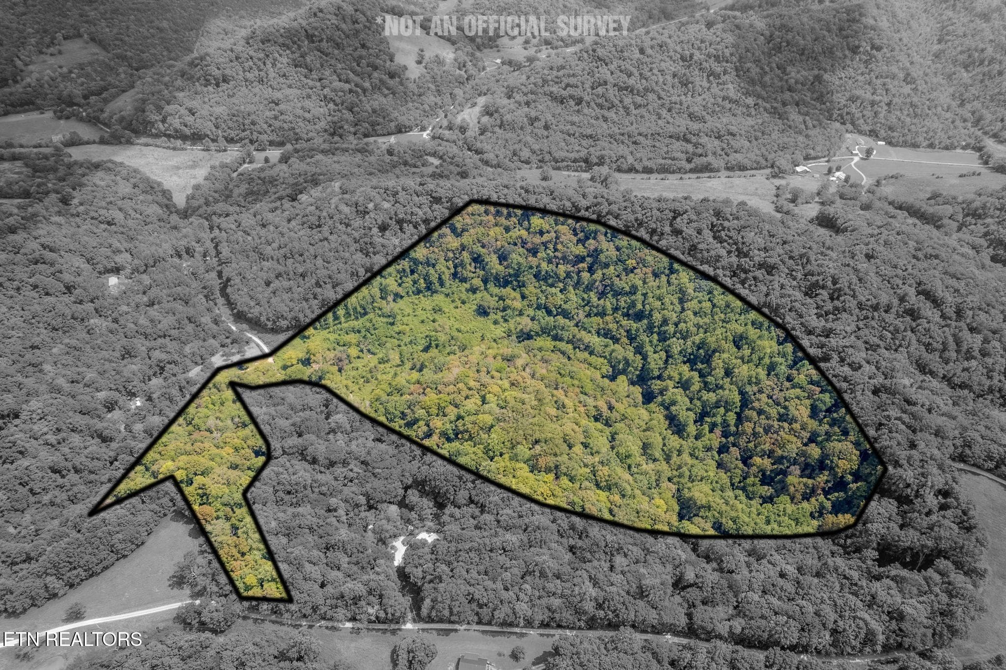 53.19AC Watts Hollow Rd, Buffalo Valley, TN 38548