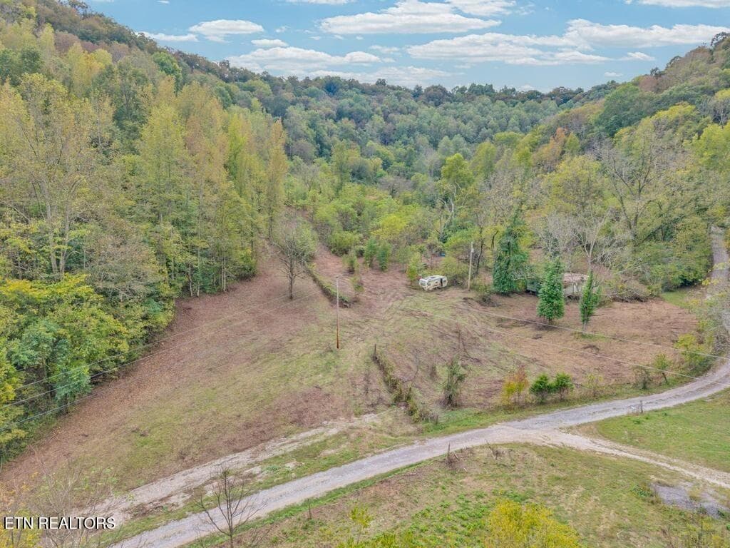 1 - 53.19AC Watts Hollow Rd, Buffalo Valley, TN 38548, Buffalo Valley