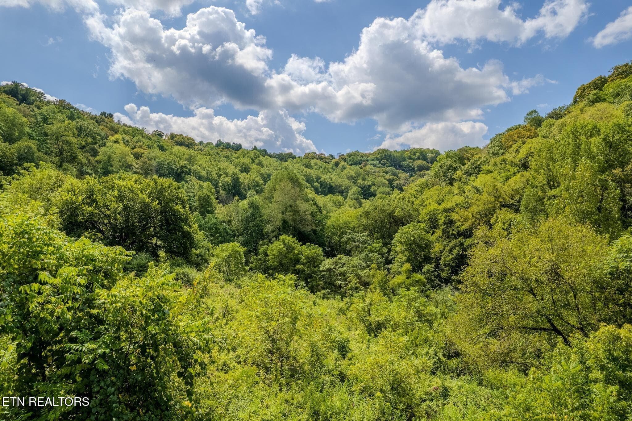 2 - 53.19AC Watts Hollow Rd, Buffalo Valley, TN 38548, Buffalo Valley