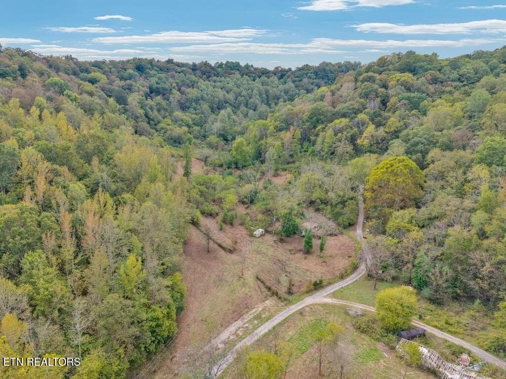 3 - 53.19AC Watts Hollow Rd, Buffalo Valley, TN 38548, Buffalo Valley