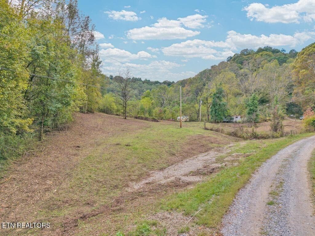 4 - 53.19AC Watts Hollow Rd, Buffalo Valley, TN 38548, Buffalo Valley