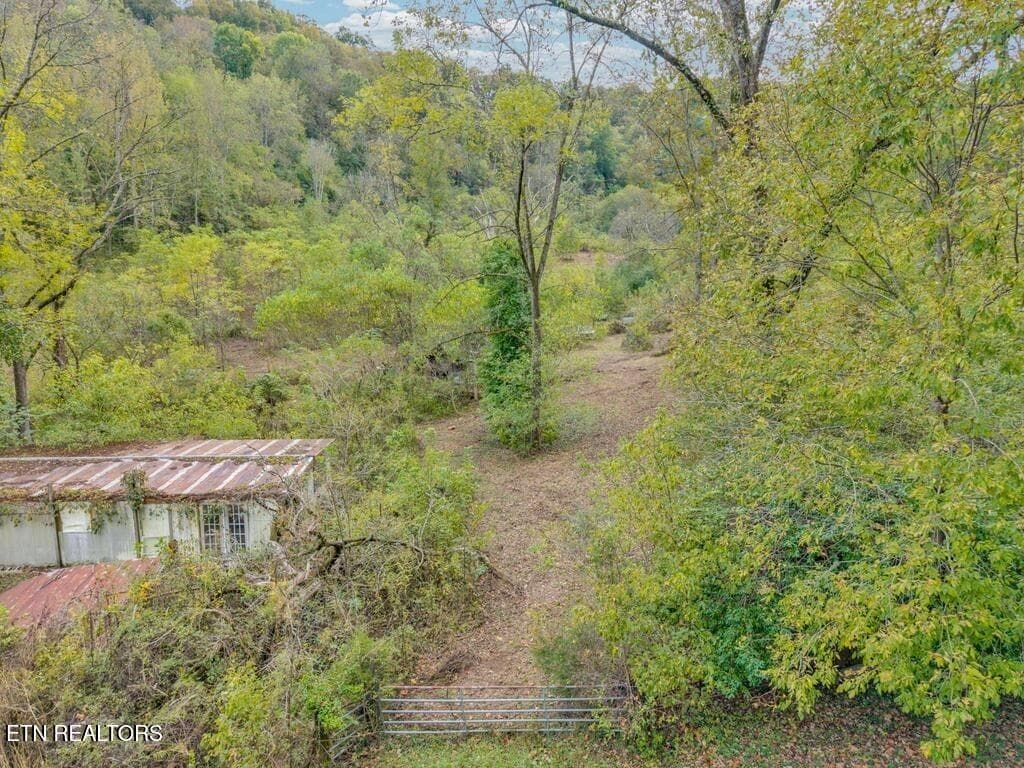 5 - 53.19AC Watts Hollow Rd, Buffalo Valley, TN 38548, Buffalo Valley