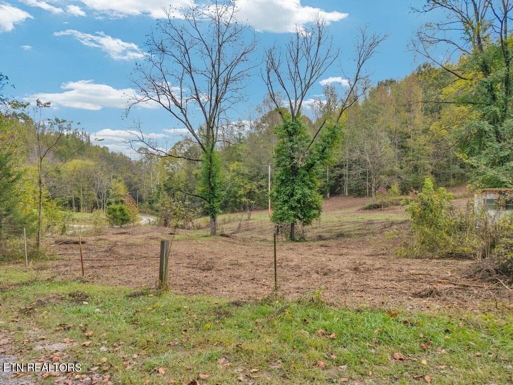 6 - 53.19AC Watts Hollow Rd, Buffalo Valley, TN 38548, Buffalo Valley