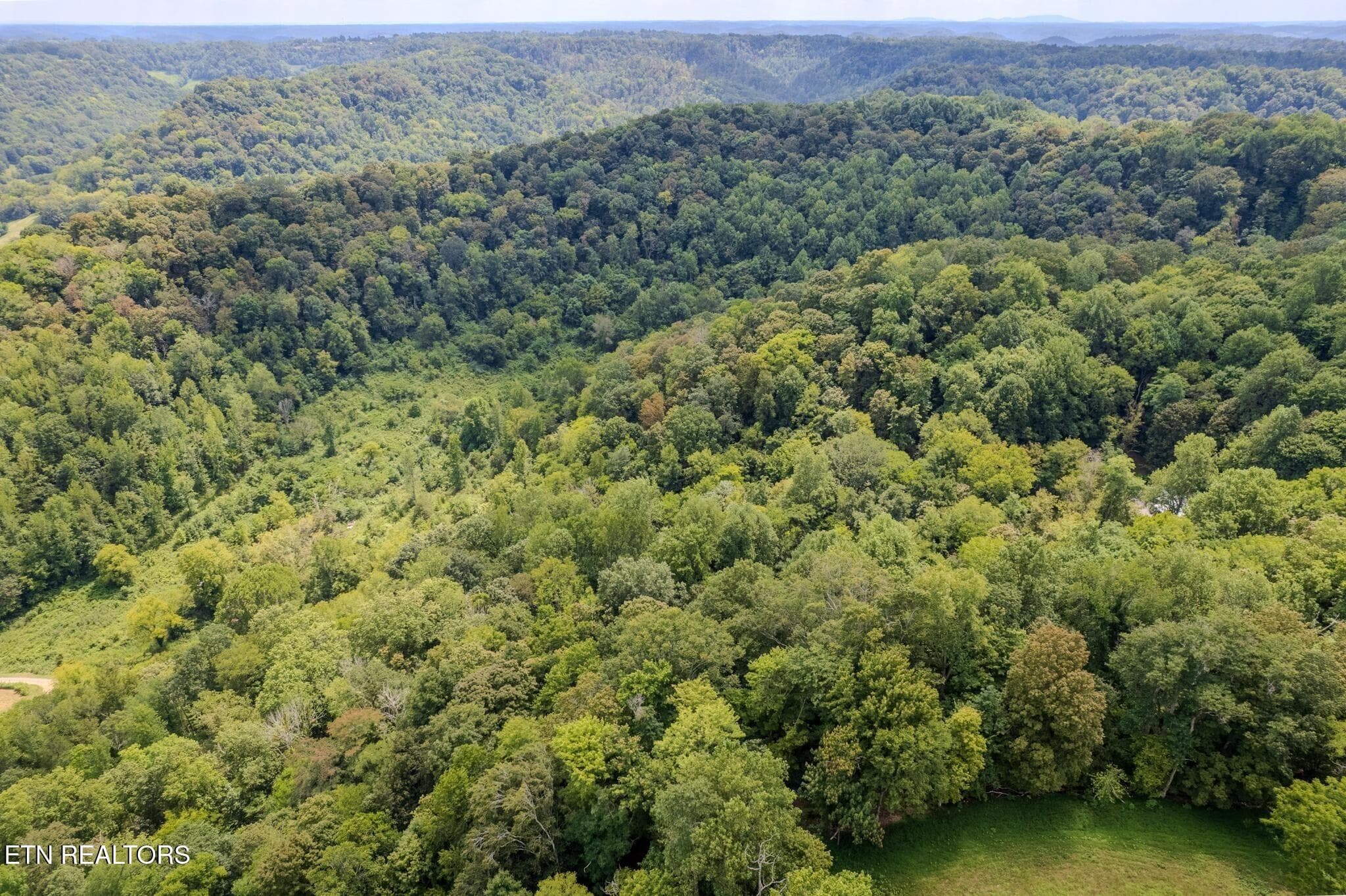 7 - 53.19AC Watts Hollow Rd, Buffalo Valley, TN 38548, Buffalo Valley