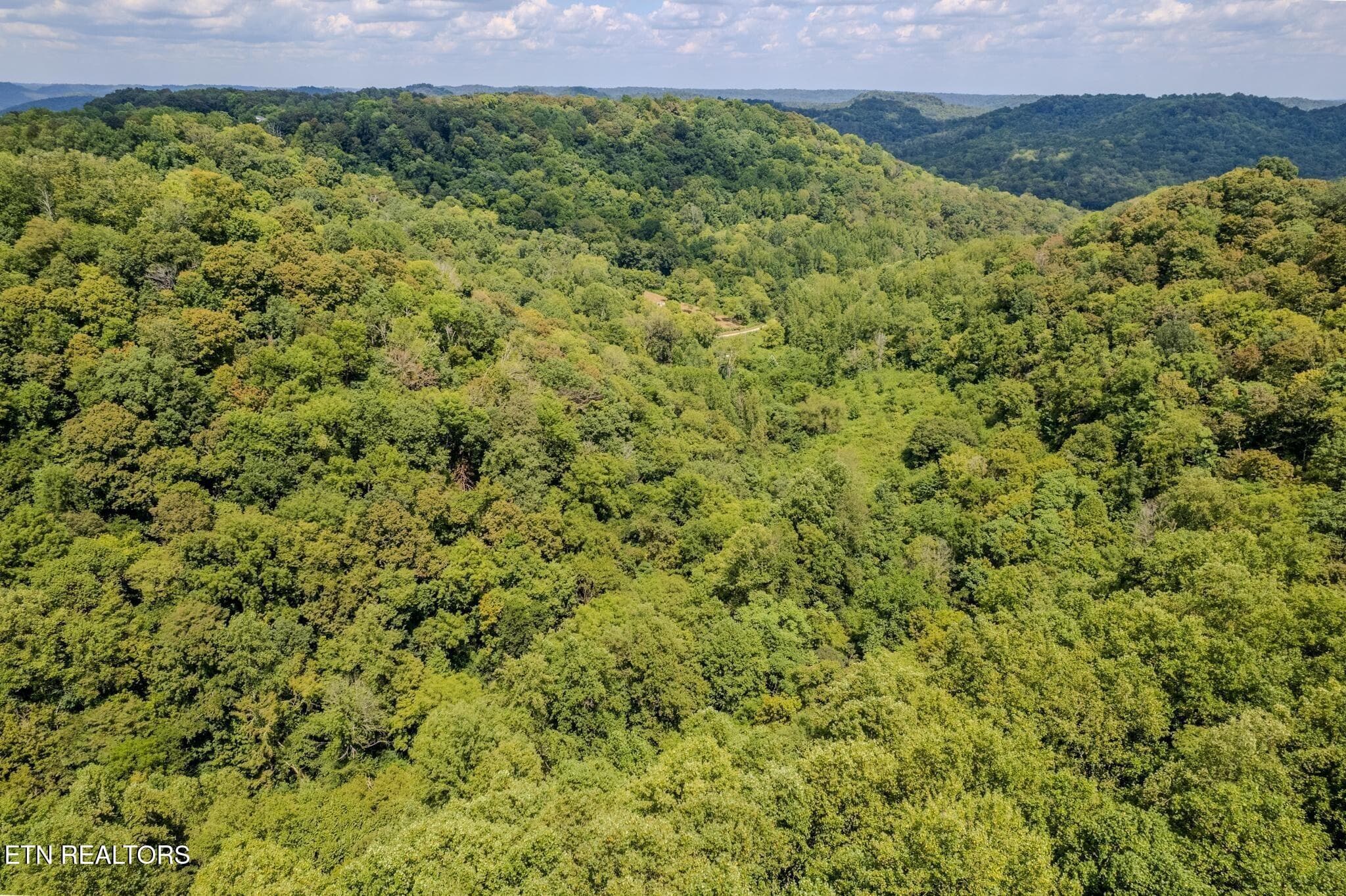 8 - 53.19AC Watts Hollow Rd, Buffalo Valley, TN 38548, Buffalo Valley