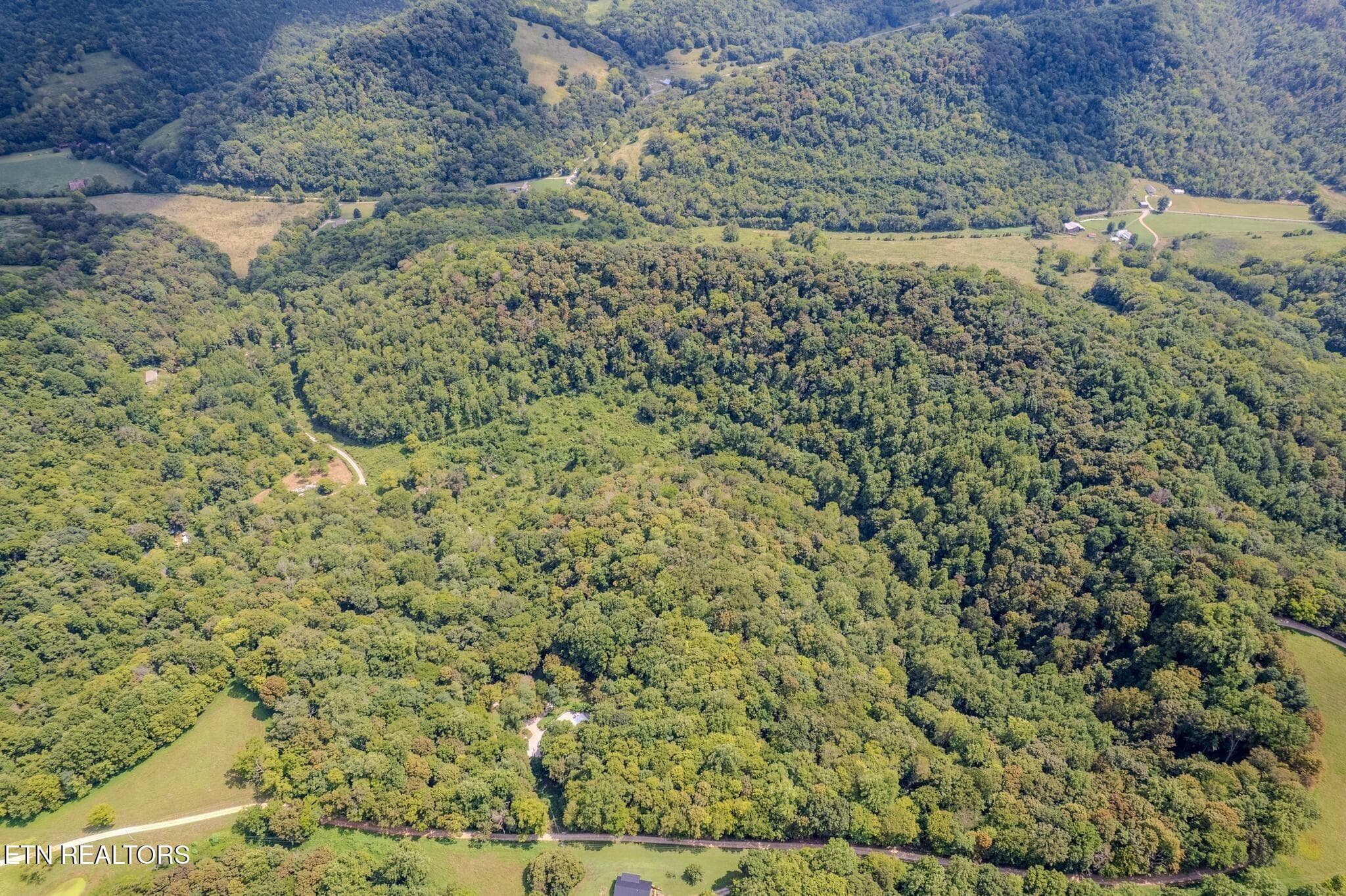 12 - 53.19AC Watts Hollow Rd, Buffalo Valley, TN 38548, Buffalo Valley