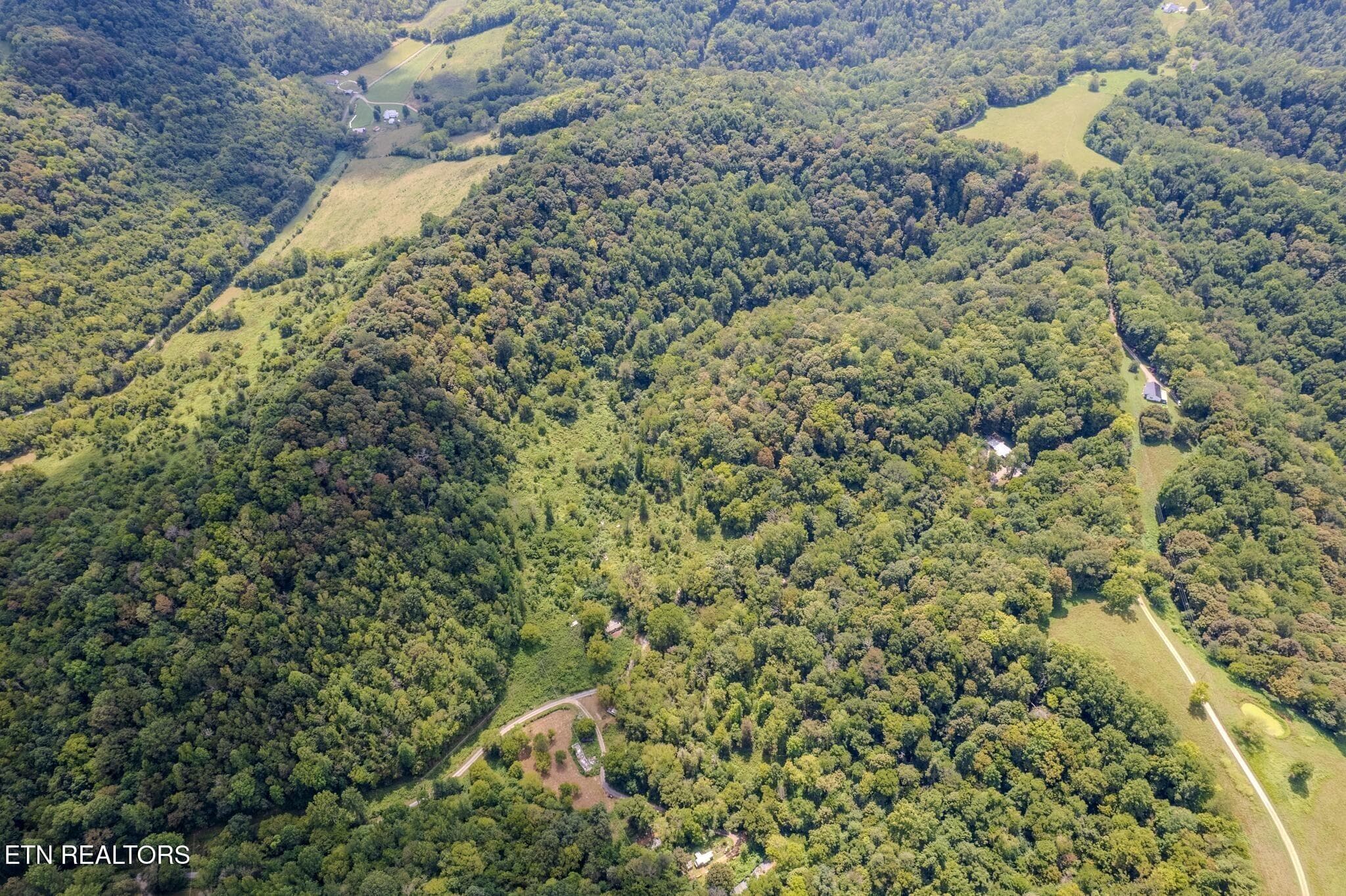 13 - 53.19AC Watts Hollow Rd, Buffalo Valley, TN 38548, Buffalo Valley