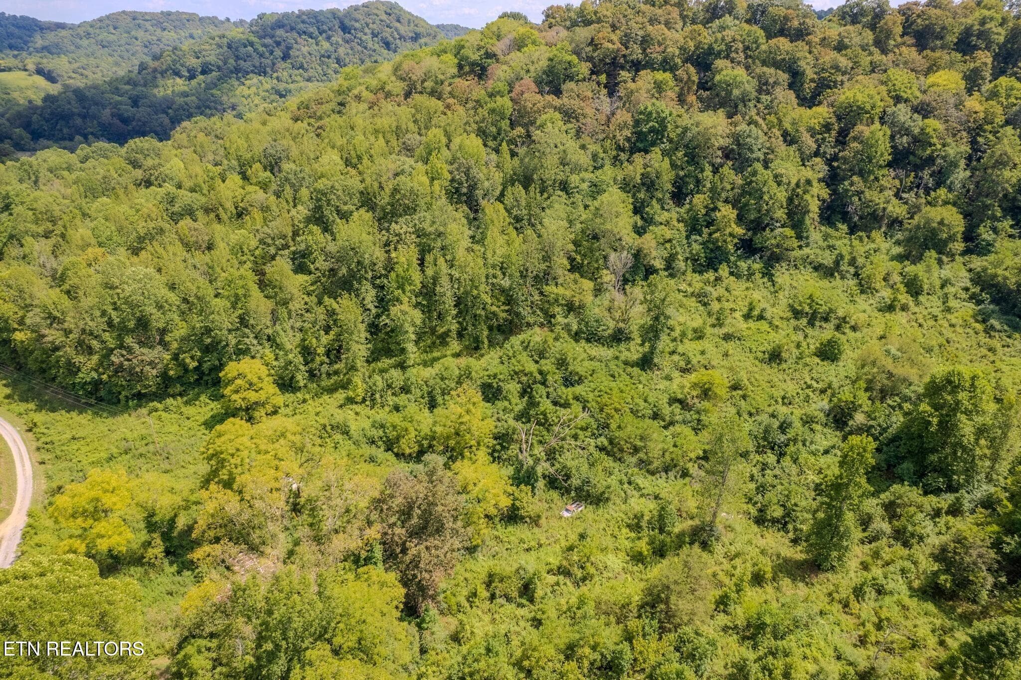 14 - 53.19AC Watts Hollow Rd, Buffalo Valley, TN 38548, Buffalo Valley