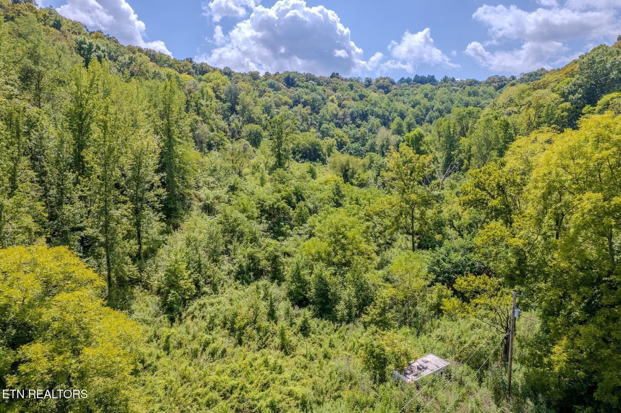 15 - 53.19AC Watts Hollow Rd, Buffalo Valley, TN 38548, Buffalo Valley