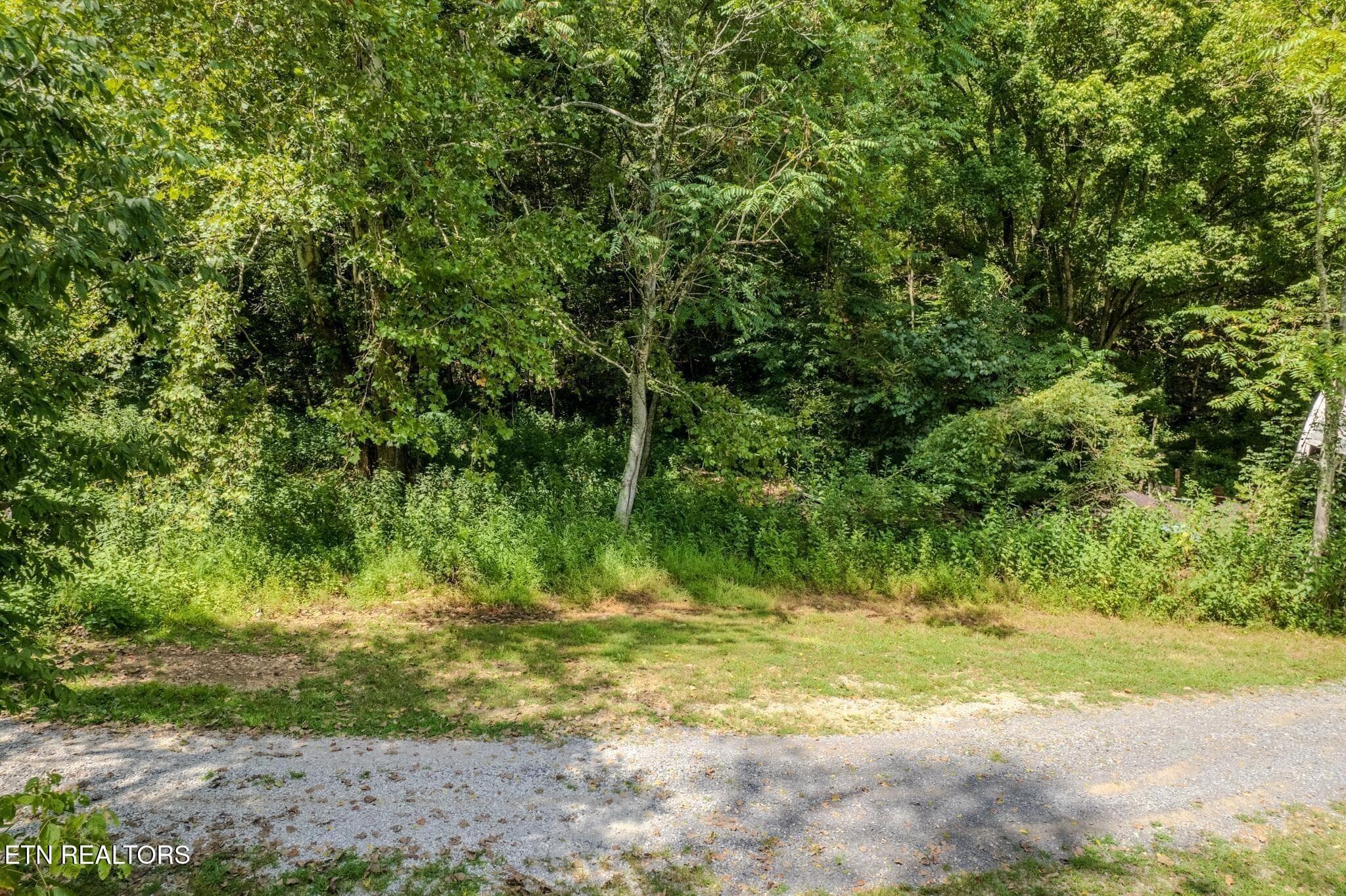 16 - 53.19AC Watts Hollow Rd, Buffalo Valley, TN 38548, Buffalo Valley