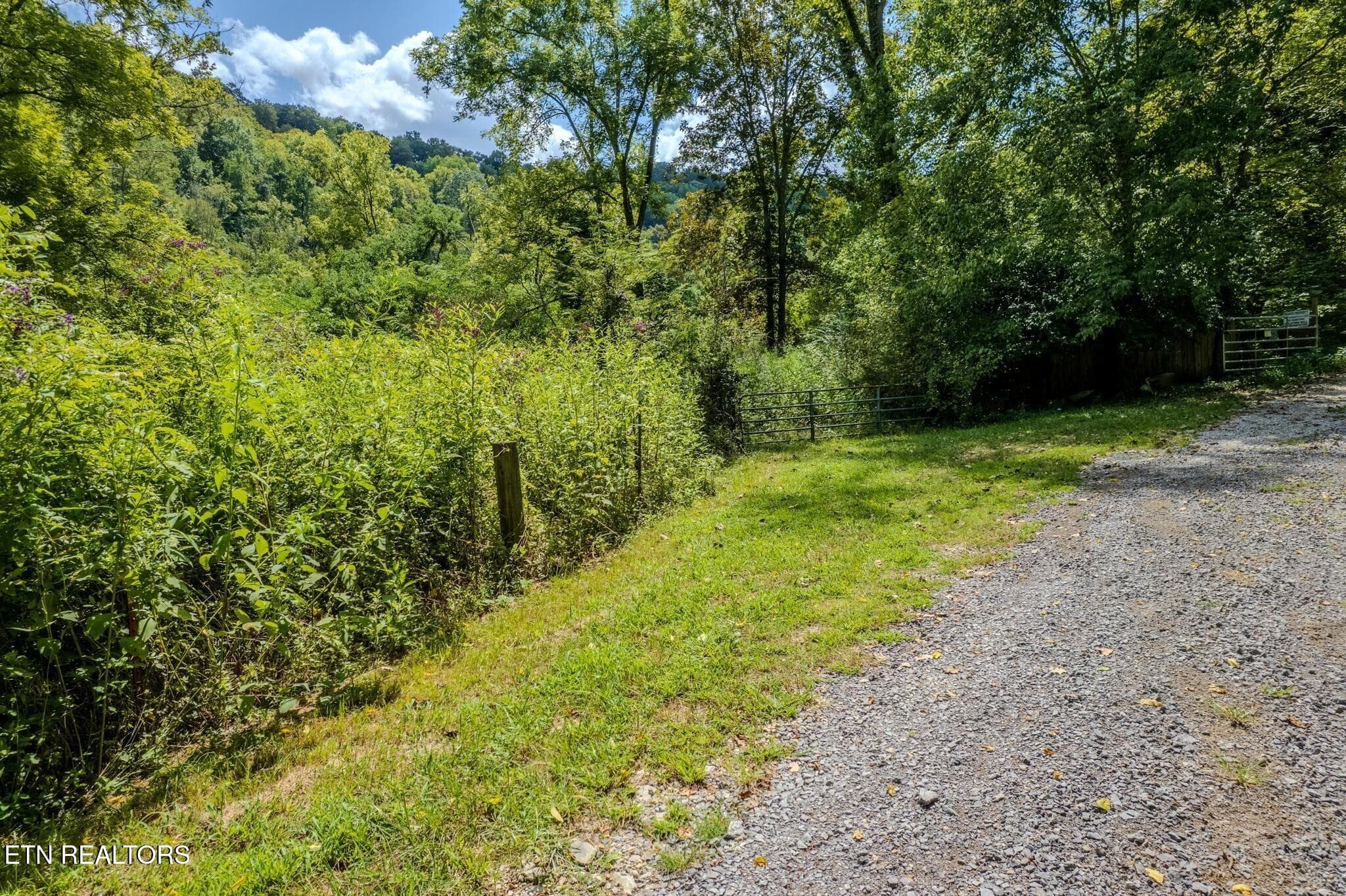 17 - 53.19AC Watts Hollow Rd, Buffalo Valley, TN 38548, Buffalo Valley