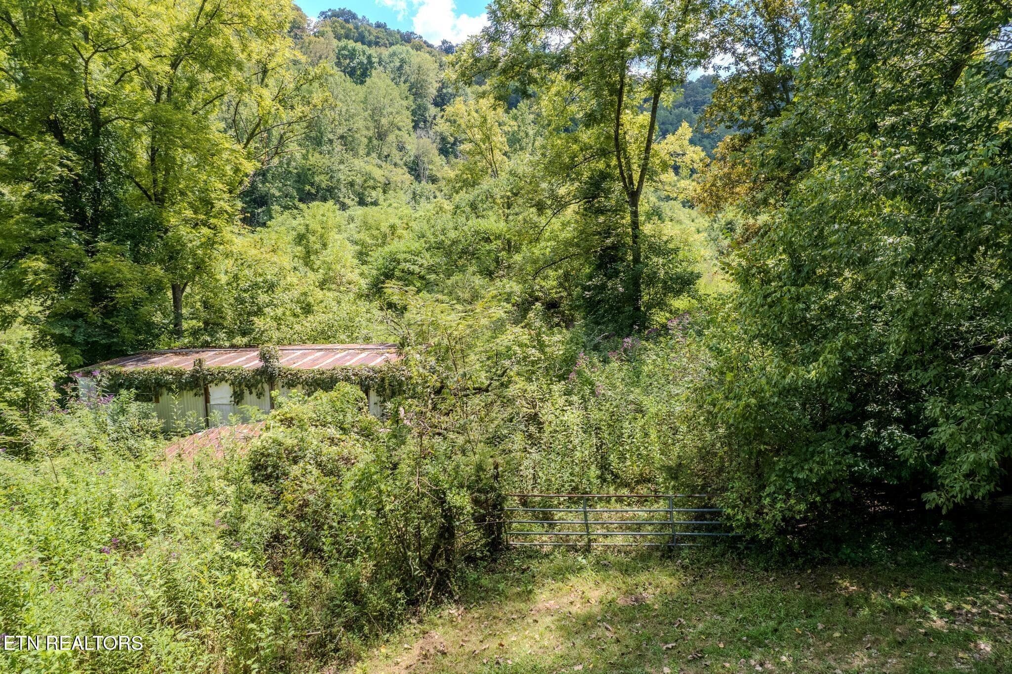 18 - 53.19AC Watts Hollow Rd, Buffalo Valley, TN 38548, Buffalo Valley