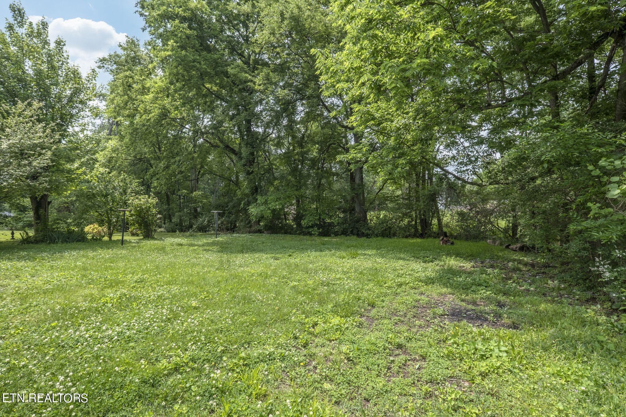 mr2405071-1019 - 115 Union St, Mount Pleasant, TN 38474, Mount Pleasant