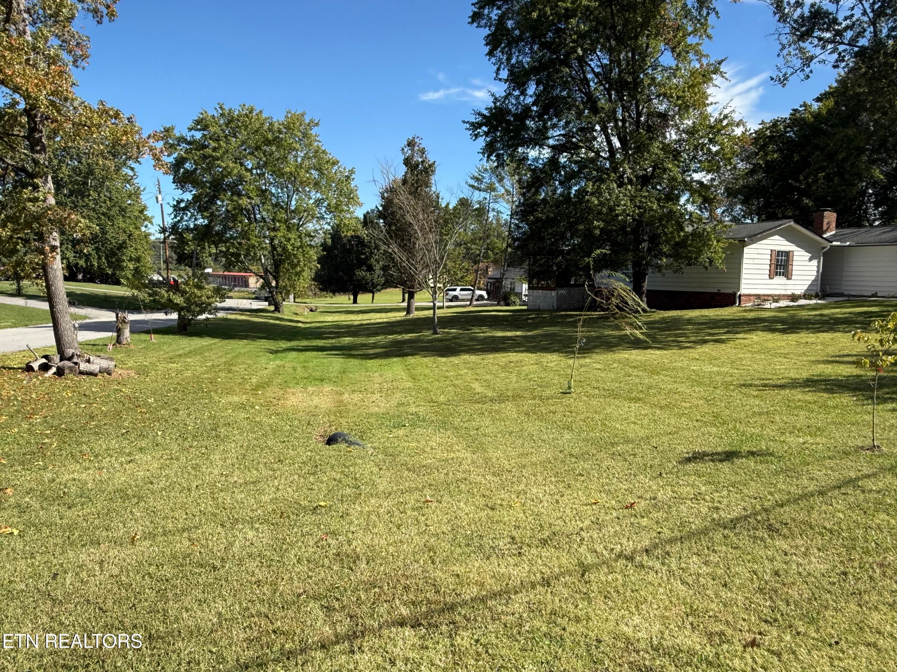IMG_1202 - 1324 Beechview Drive, Sevierville, TN 37862, Sevierville