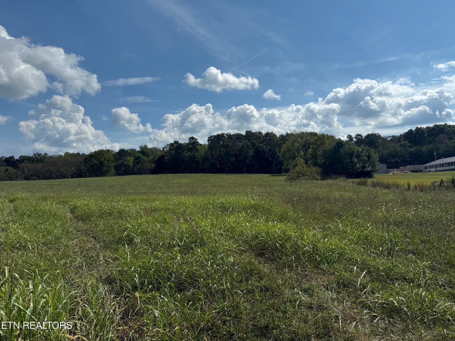 IMG_7111 - 21340 Martel Rd, Lenoir City, TN 37772