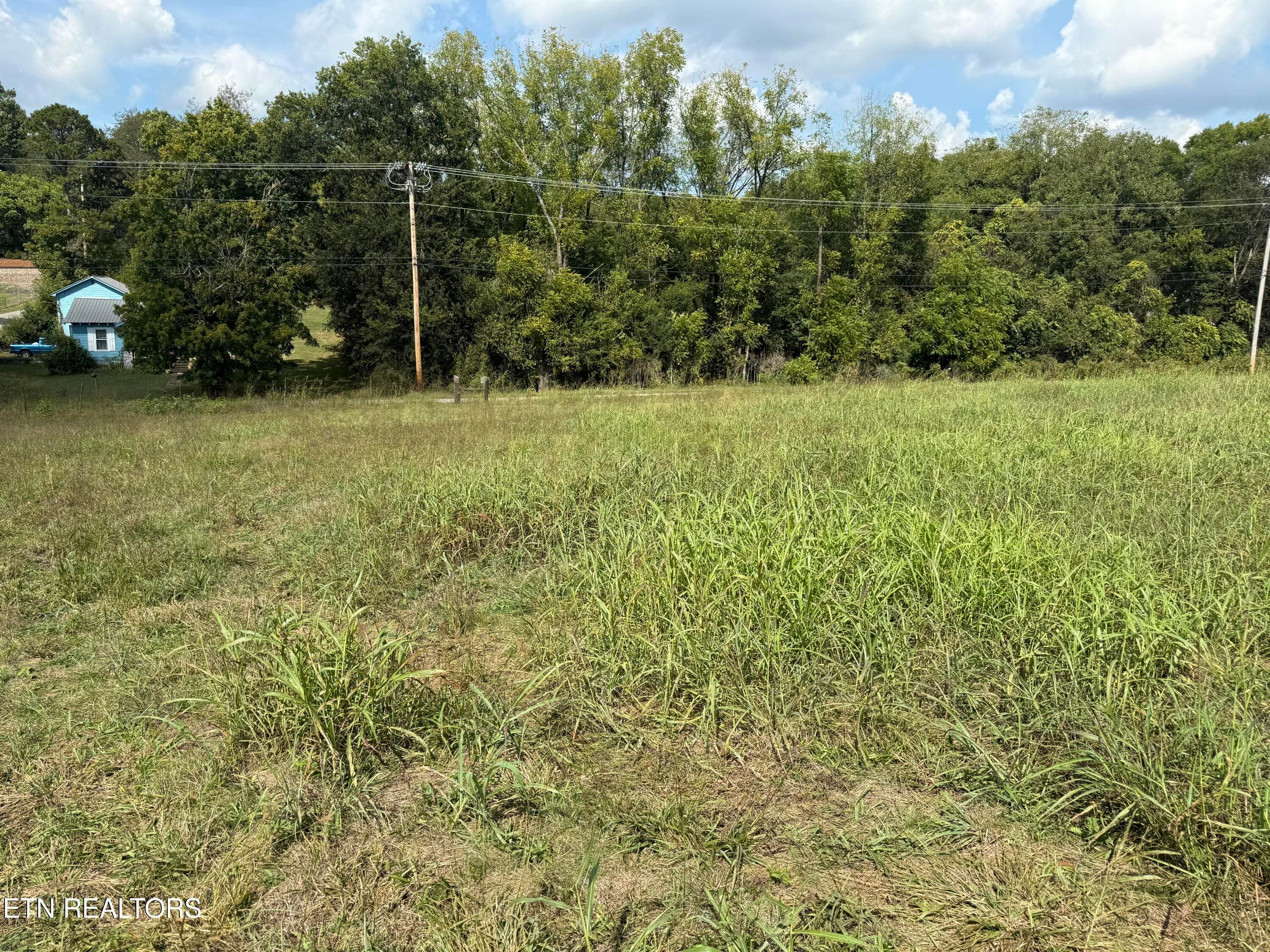 IMG_7112 - 21340 Martel Rd, Lenoir City, TN 37772, Lenoir City