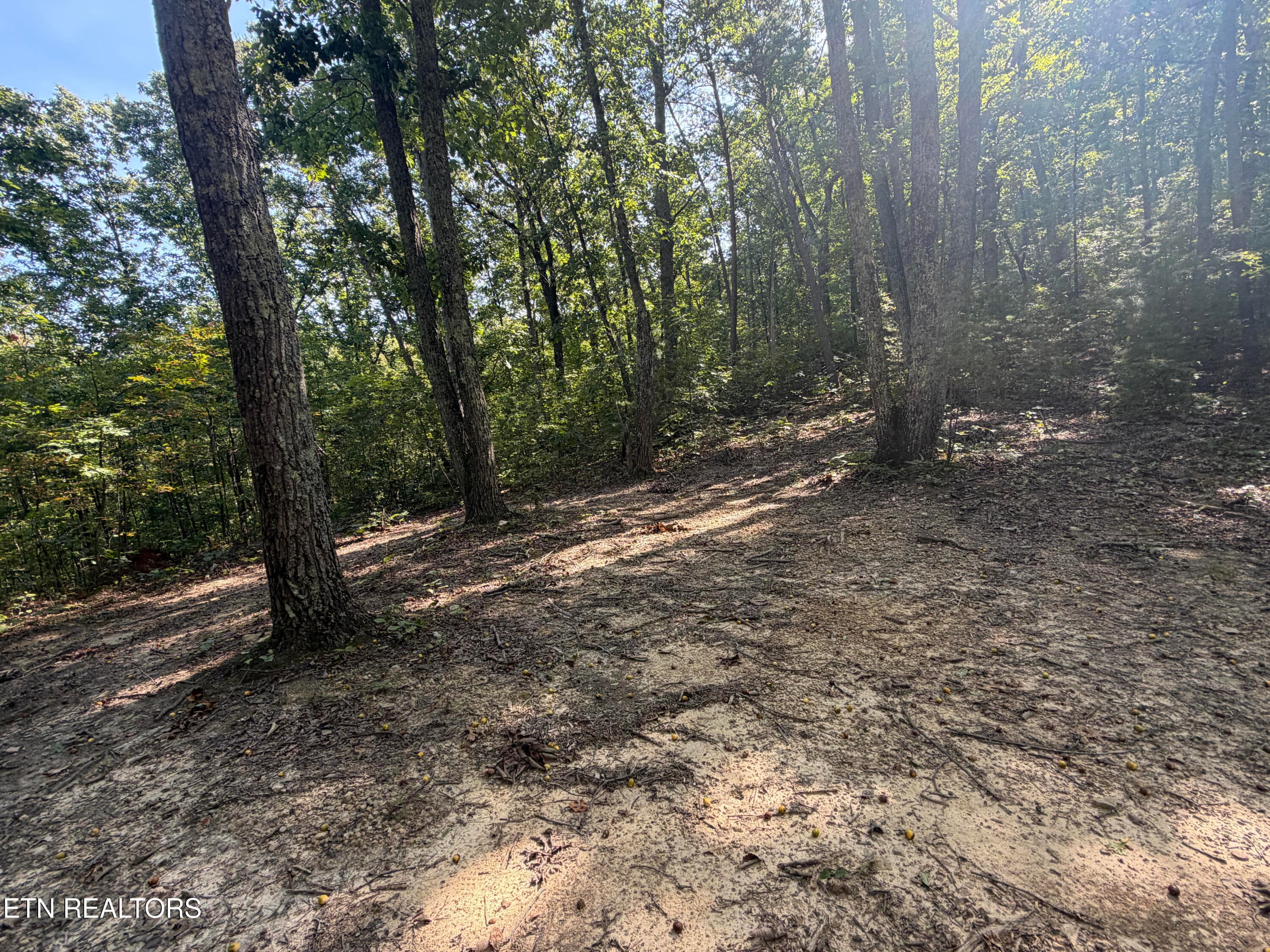 unnamed (5) - Lot 1 Mecca Pike, Tellico Plains, TN 37385, Tellico Plains