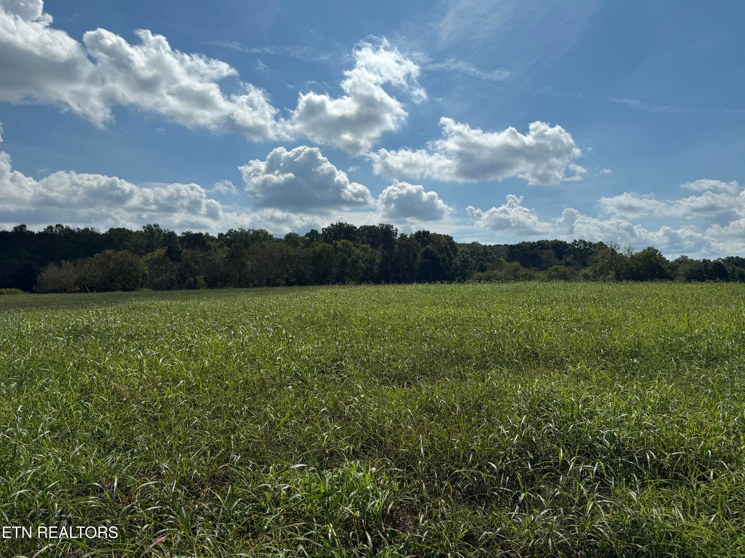 IMG_7090 - 21558 Martel Rd, Lenoir City, TN 37772, Lenoir City