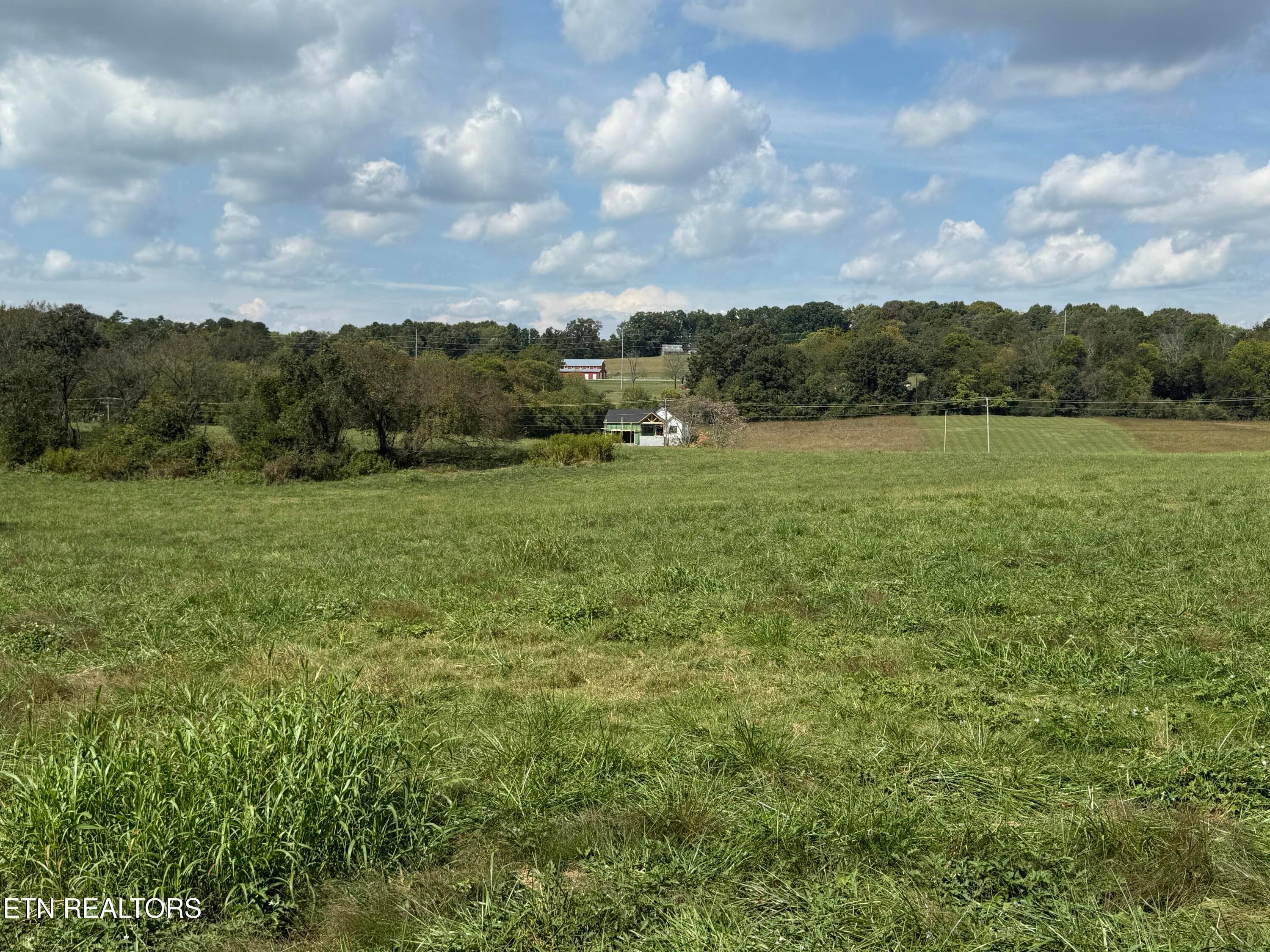 IMG_7100 - 21558 Martel Rd, Lenoir City, TN 37772, Lenoir City