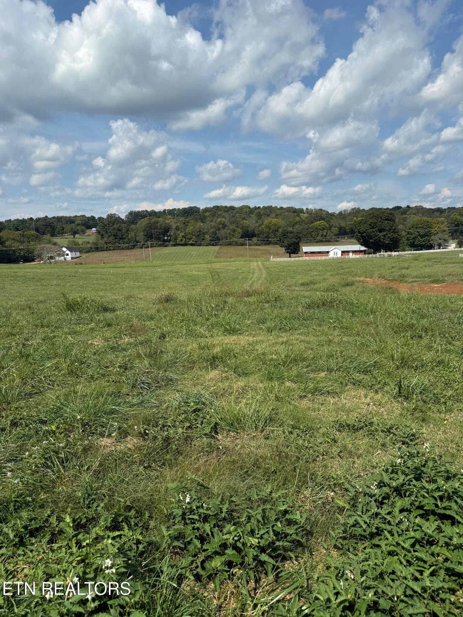 IMG_7093 - 21804 Martel Rd, Lenoir City, TN 37772, Lenoir City