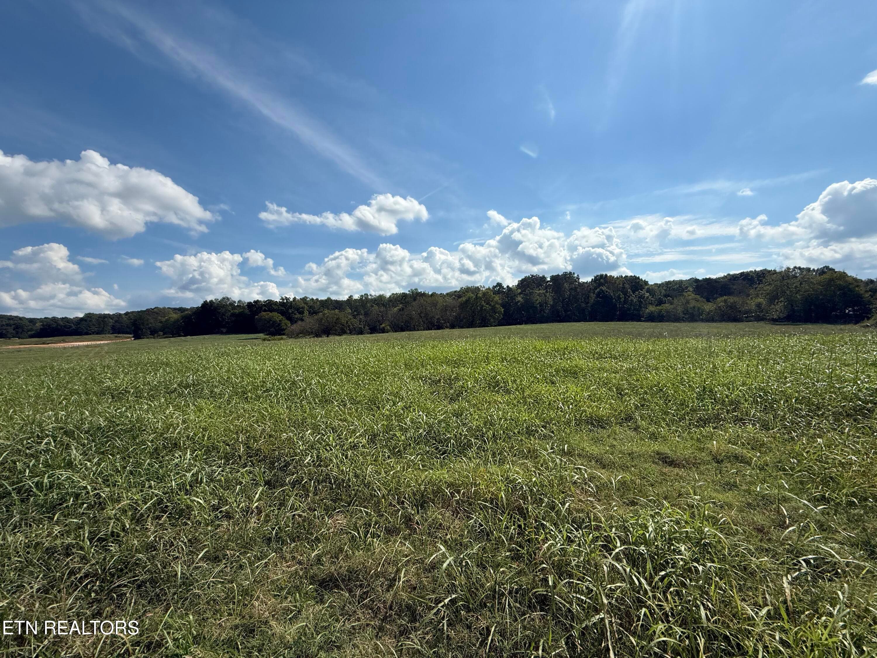 IMG_7114 - 21804 Martel Rd, Lenoir City, TN 37772, Lenoir City