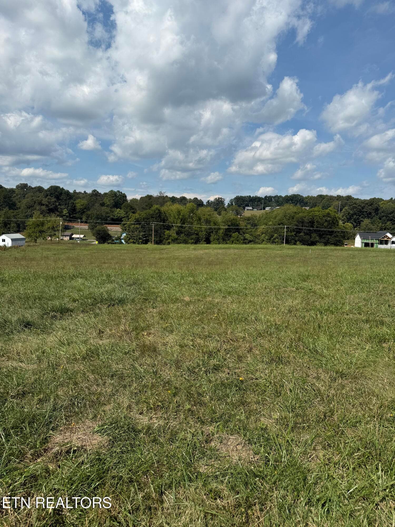 IMG_7108 - 22400 Martel Rd, Lenoir City, TN 37772, Lenoir City