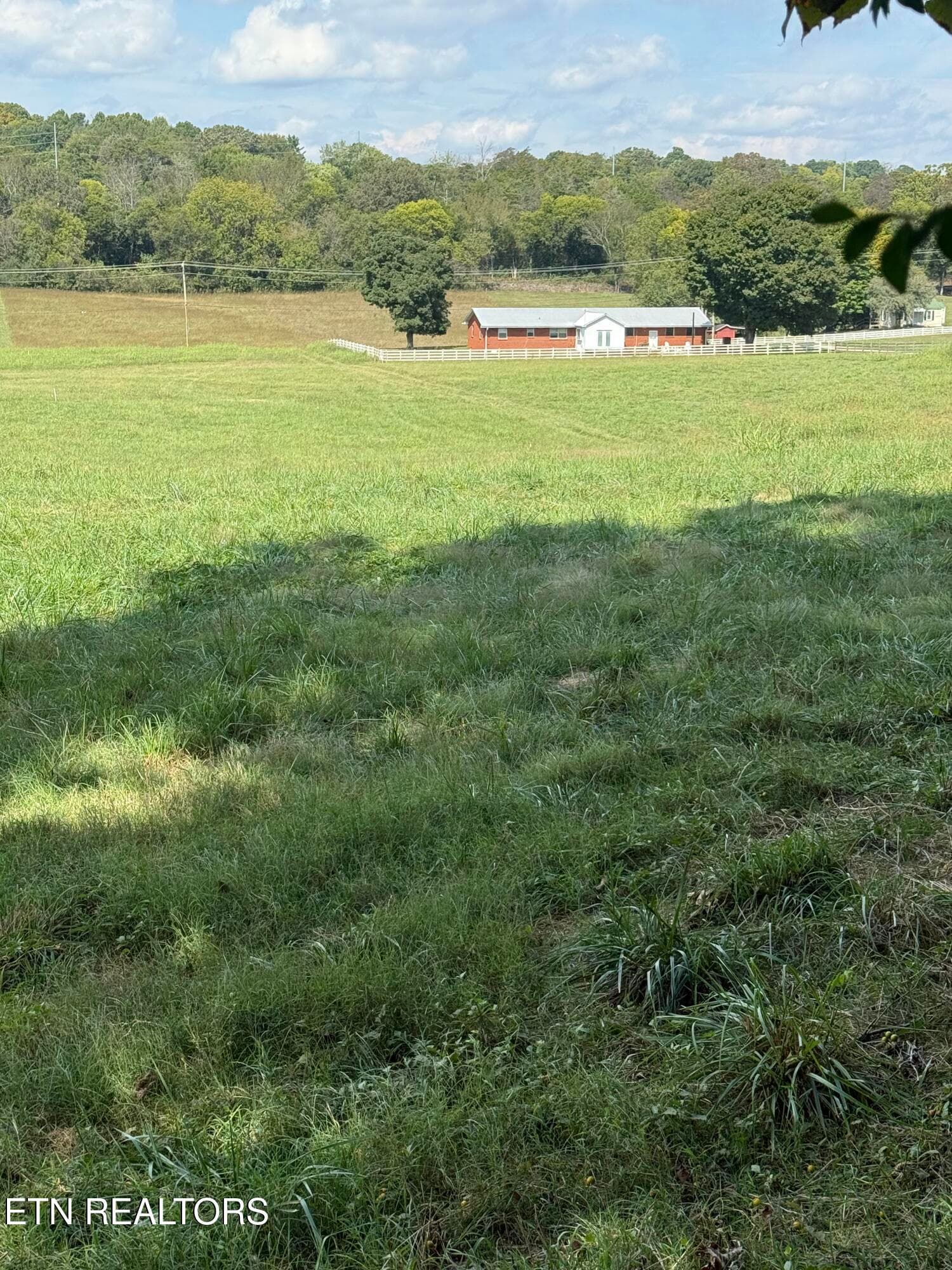 IMG_7096 - 22400 Martel Rd, Lenoir City, TN 37772, Lenoir City