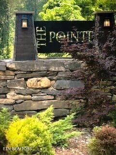 247233_67 - 121 Bluegill Rd, Hilham, TN 38568, Hilham