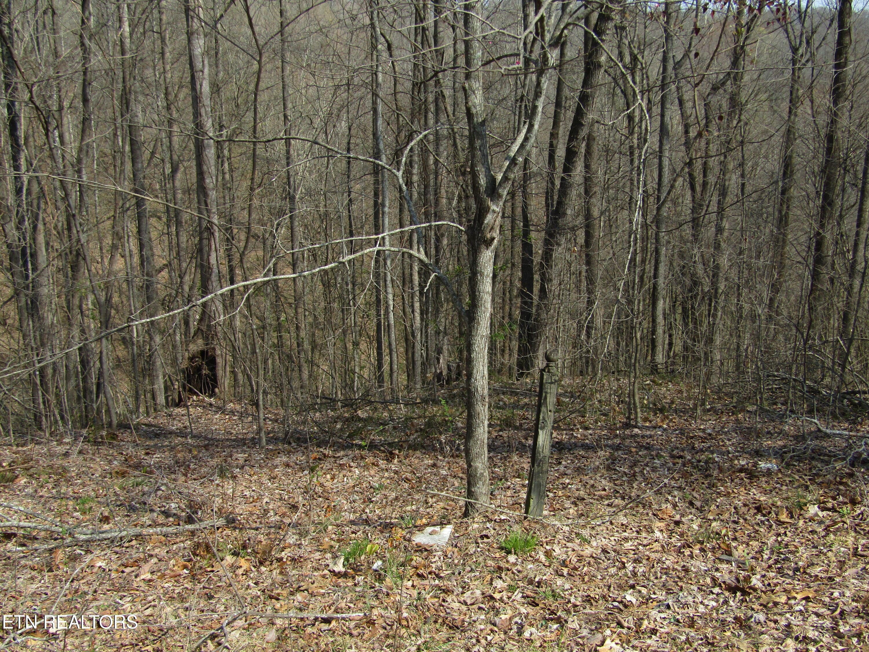 Lot 28 Hunters S Landing Lane, Smithville, TN 37166