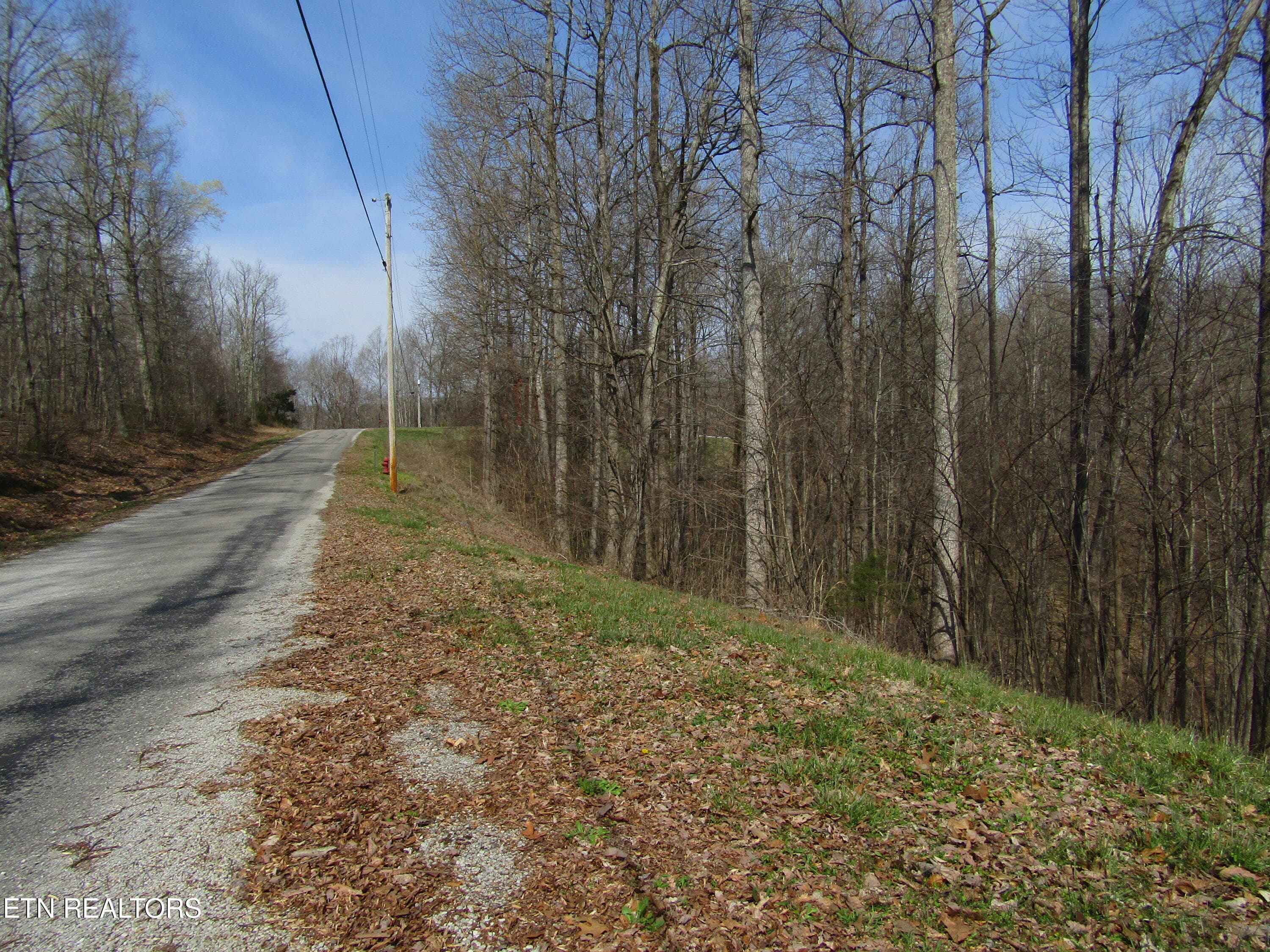 IMG_6554 - Lot 28 Hunters S Landing Lane, Smithville, TN 37166, Smithville