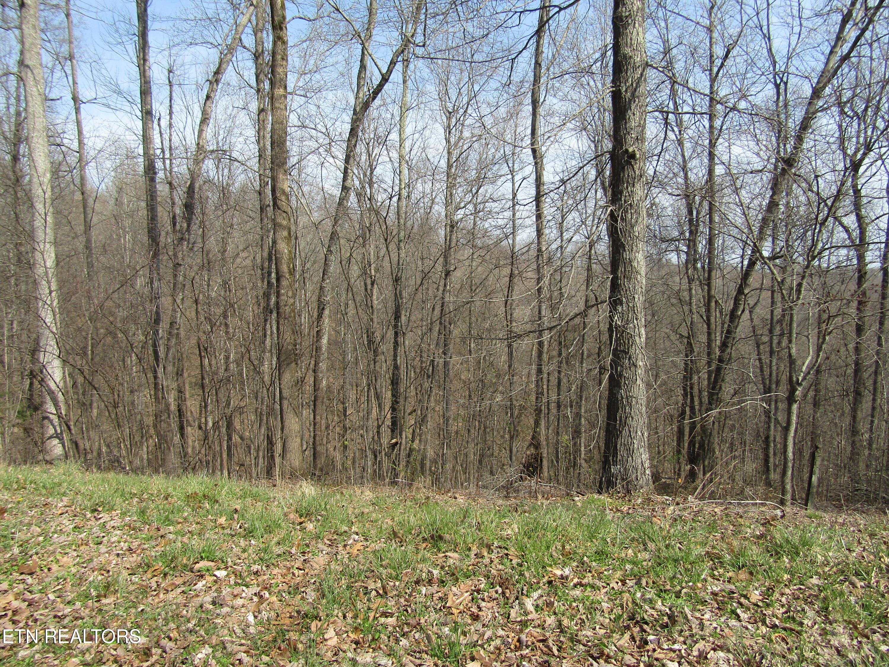 IMG_6555 - Lot 28 Hunters S Landing Lane, Smithville, TN 37166, Smithville