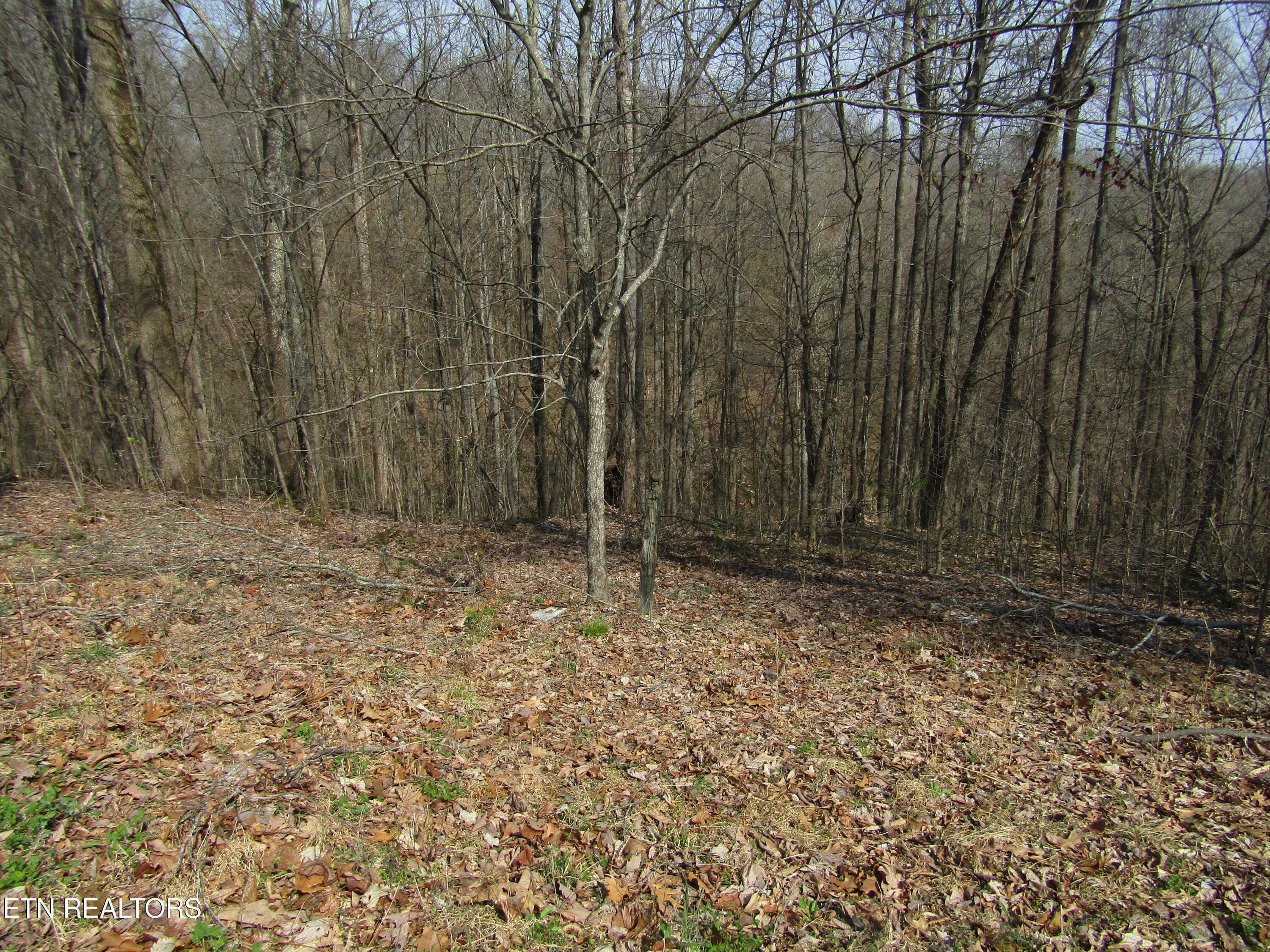 IMG_6556 - Lot 28 Hunters S Landing Lane, Smithville, TN 37166, Smithville