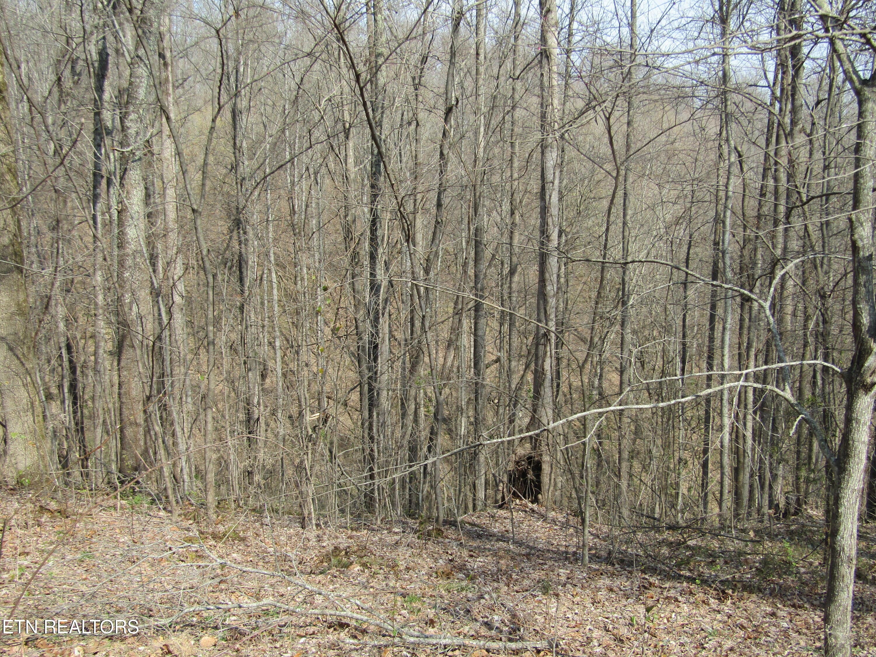 IMG_6558 - Lot 28 Hunters S Landing Lane, Smithville, TN 37166, Smithville