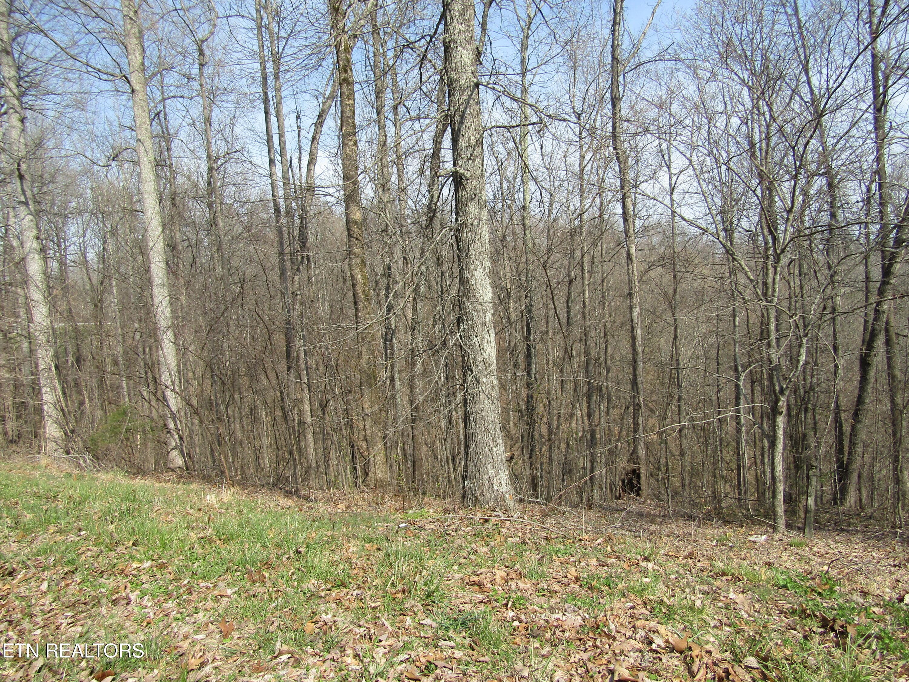 IMG_6559 - Lot 28 Hunters S Landing Lane, Smithville, TN 37166, Smithville