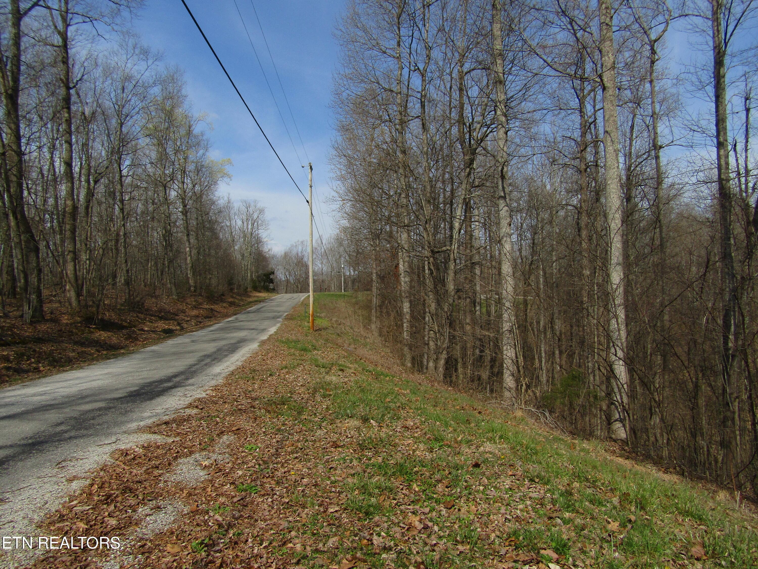 IMG_6560 - Lot 28 Hunters S Landing Lane, Smithville, TN 37166, Smithville