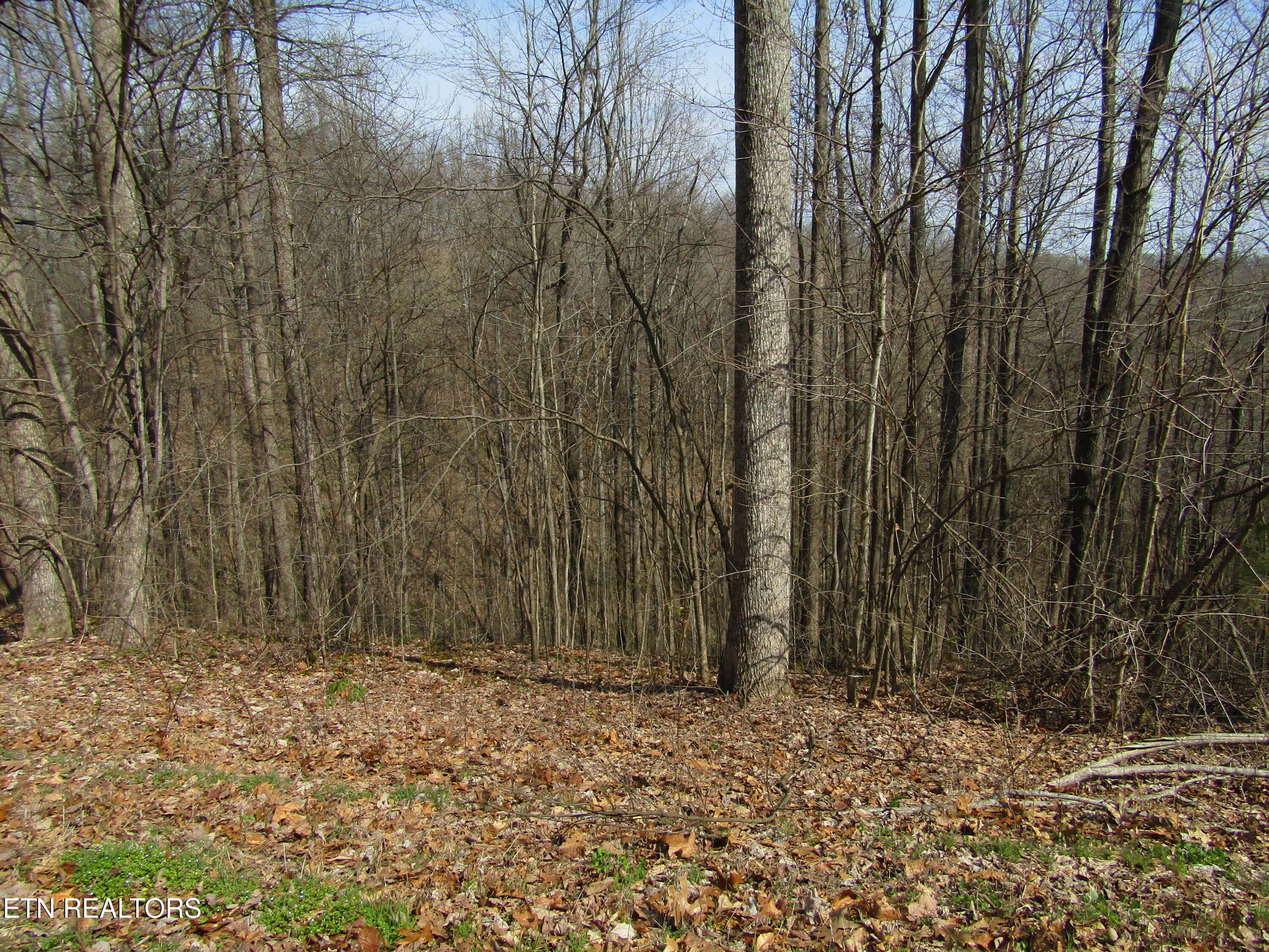 IMG_6561 - Lot 28 Hunters S Landing Lane, Smithville, TN 37166, Smithville