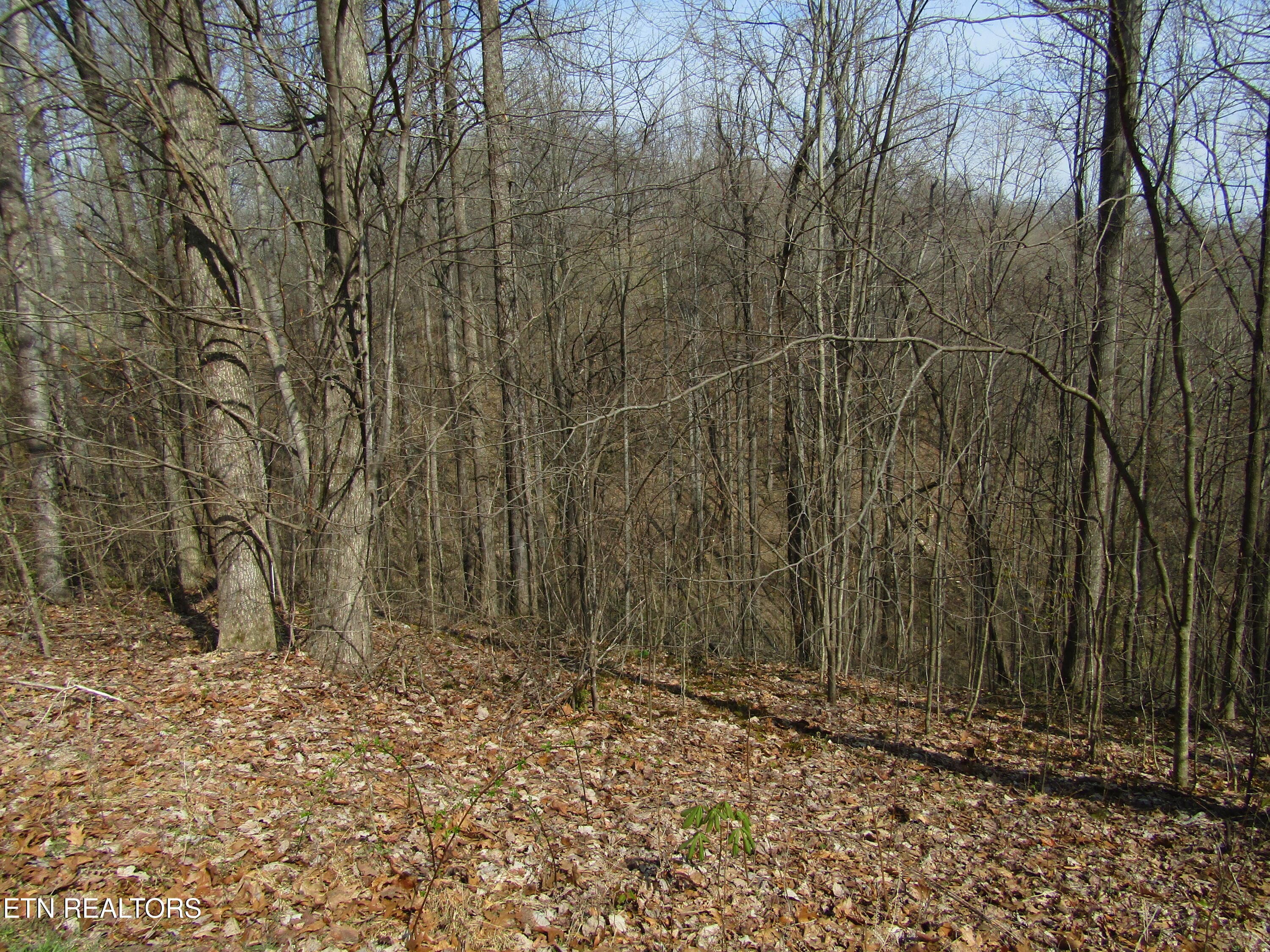 IMG_6562 - Lot 28 Hunters S Landing Lane, Smithville, TN 37166, Smithville