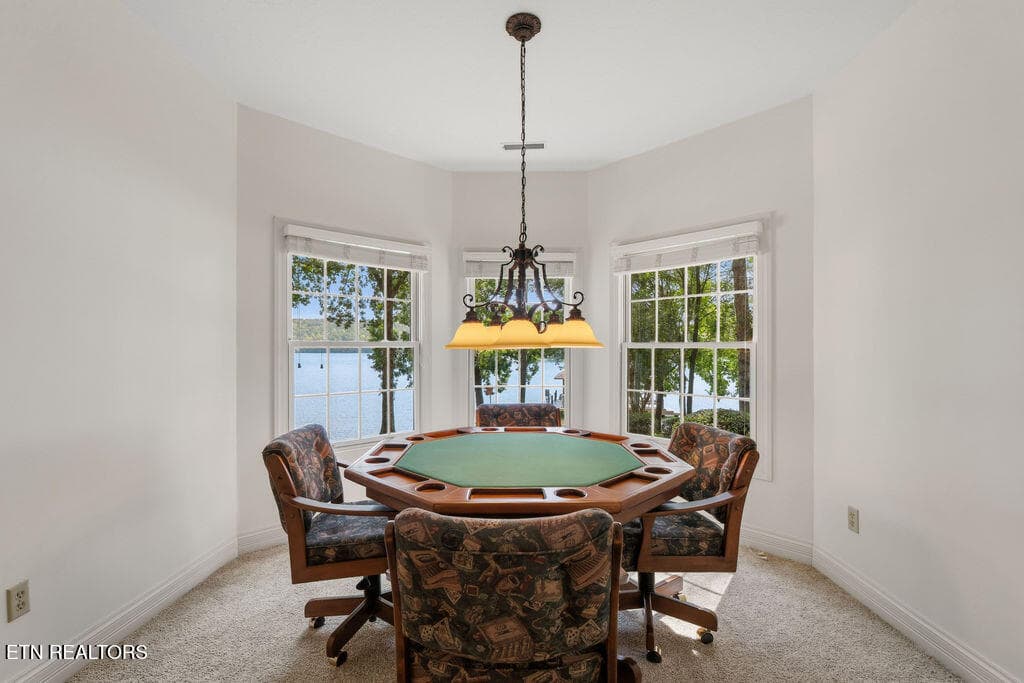Large Rec Room with Card Table - 631 Tanasi Lane, Loudon, TN 37774, Loudon
