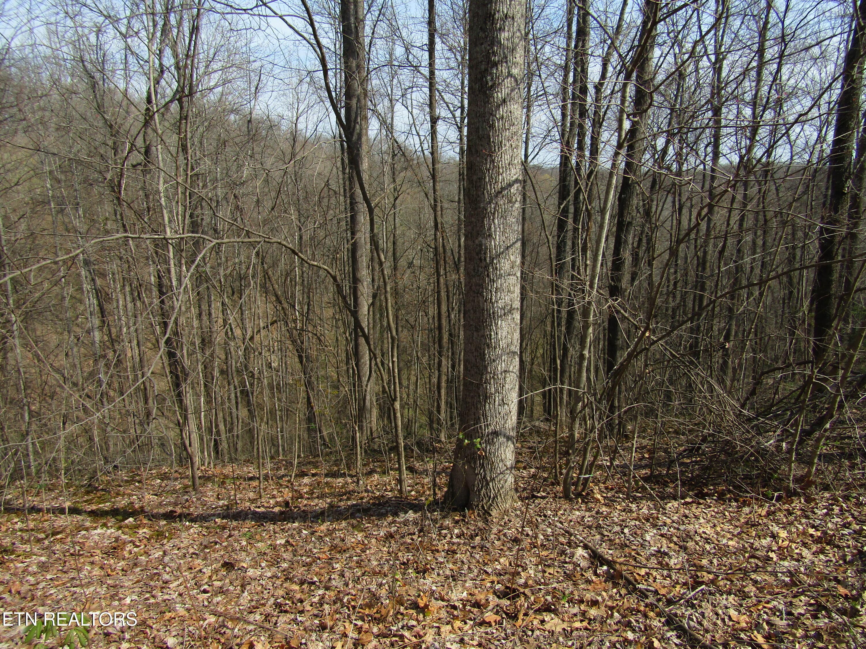 IMG_6563 - Lot 28 Hunters S Landing Lane, Smithville, TN 37166, Smithville