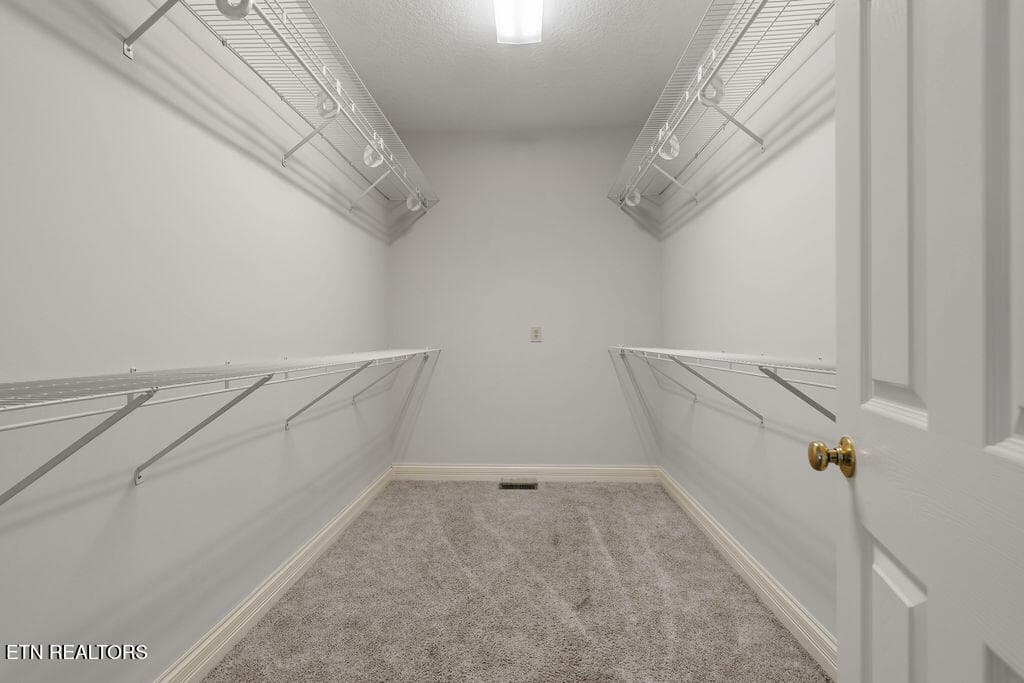 Primary Closet - 631 Tanasi Lane, Loudon, TN 37774, Loudon