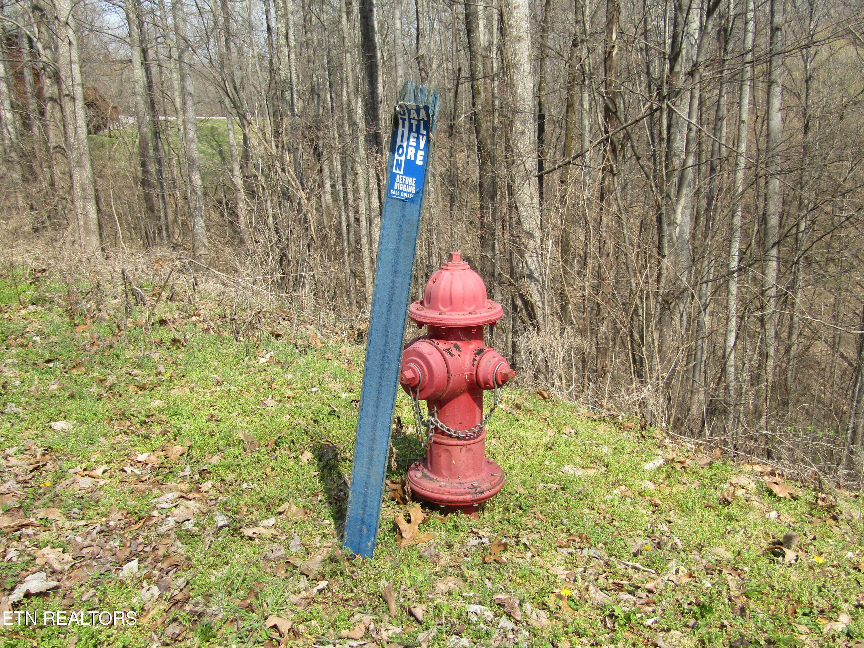 IMG_6564 - Lot 28 Hunters S Landing Lane, Smithville, TN 37166, Smithville